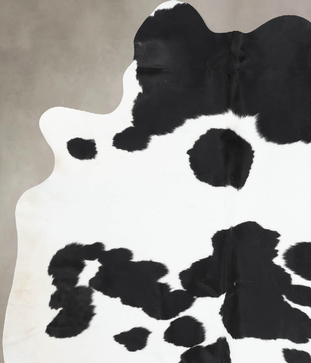 Black and White XX-Large Brazilian Cowhide Rug 8'2"H x 6'2"W #B13741 by Hudson Hides