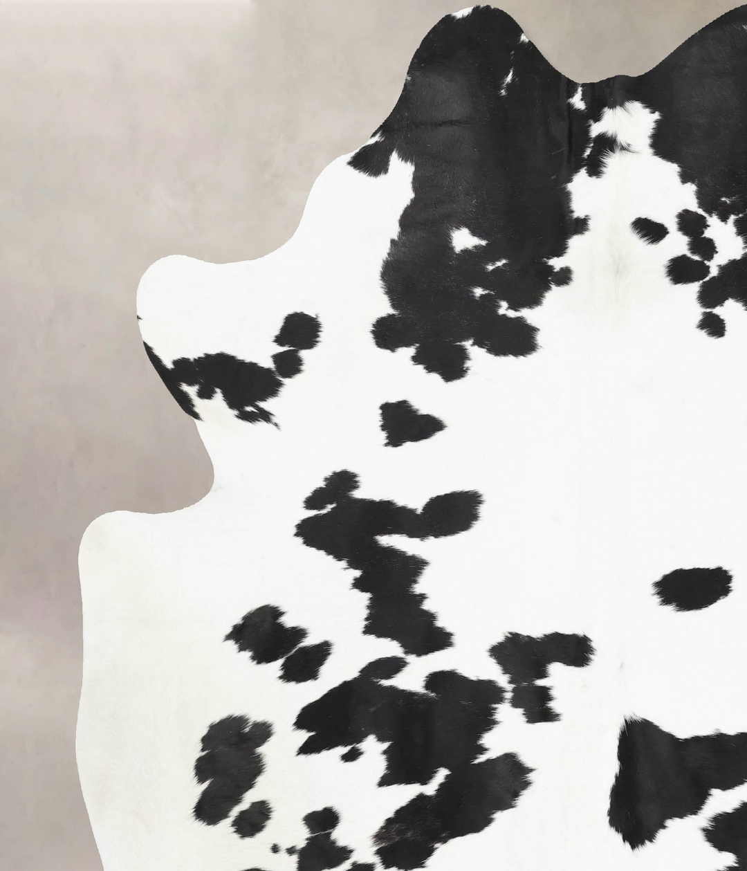 Black and White XX-Large Brazilian Cowhide Rug 8'1"H x 6'11"W #B13745 