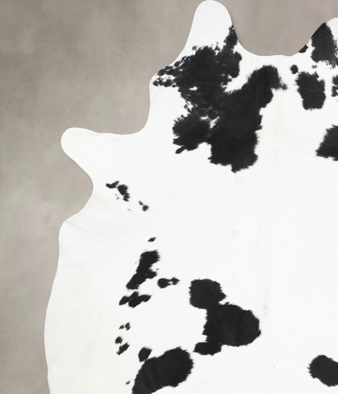 Black and White XX-Large Brazilian Cowhide Rug 8'9"H x 6'11"W #B13747 
