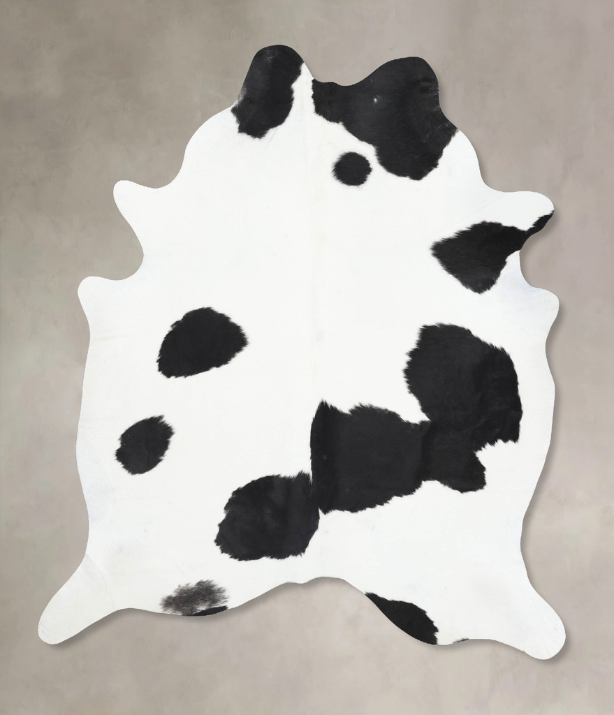 Black and White XX-Large Brazilian Cowhide Rug 7'11"H x 6'8"W #B13748 by Hudson Hides