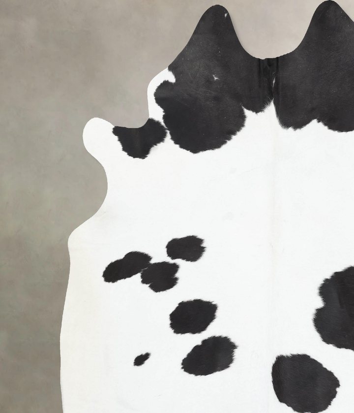 Black and White XX-Large Brazilian Cowhide Rug 8'1"H x 7'0"W #B13757 by Hudson Hides