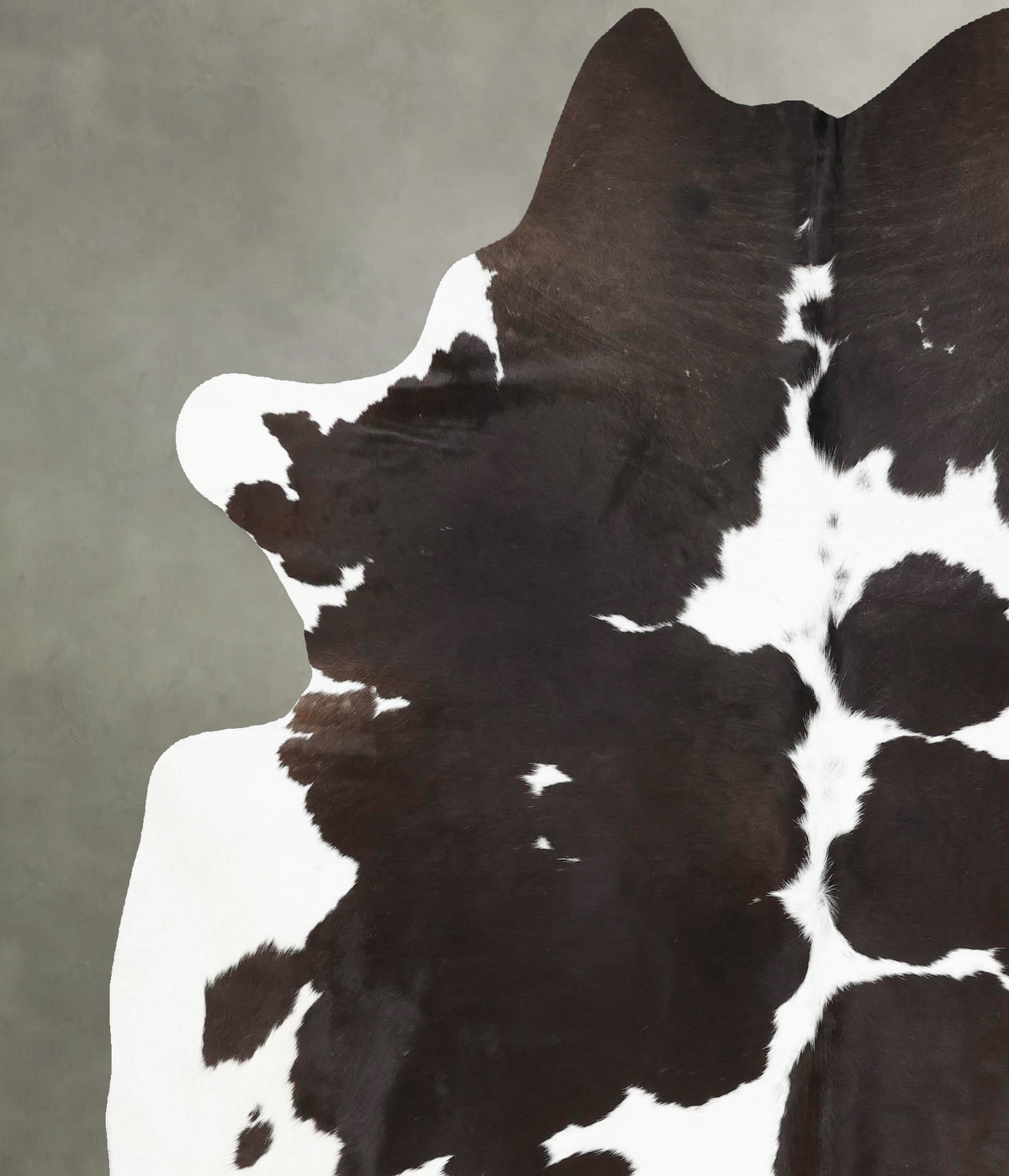 Chocolate and White XX-Large Brazilian Cowhide Rug 8'0"H x 6'8"W #B13817 by Hudson Hides