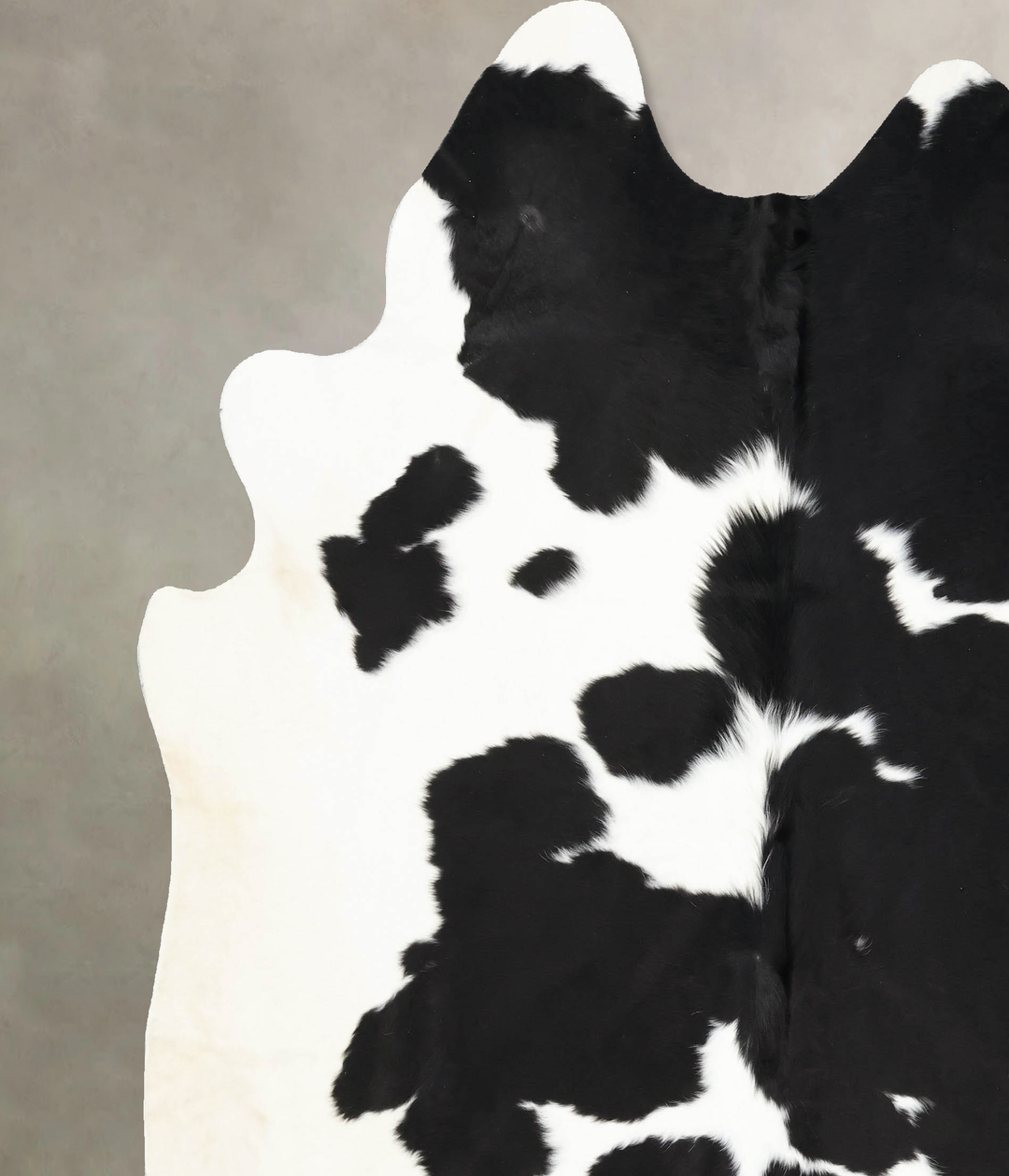 Black and White XX-Large Brazilian Cowhide Rug 8'4"H x 7'5"W #B13851 b