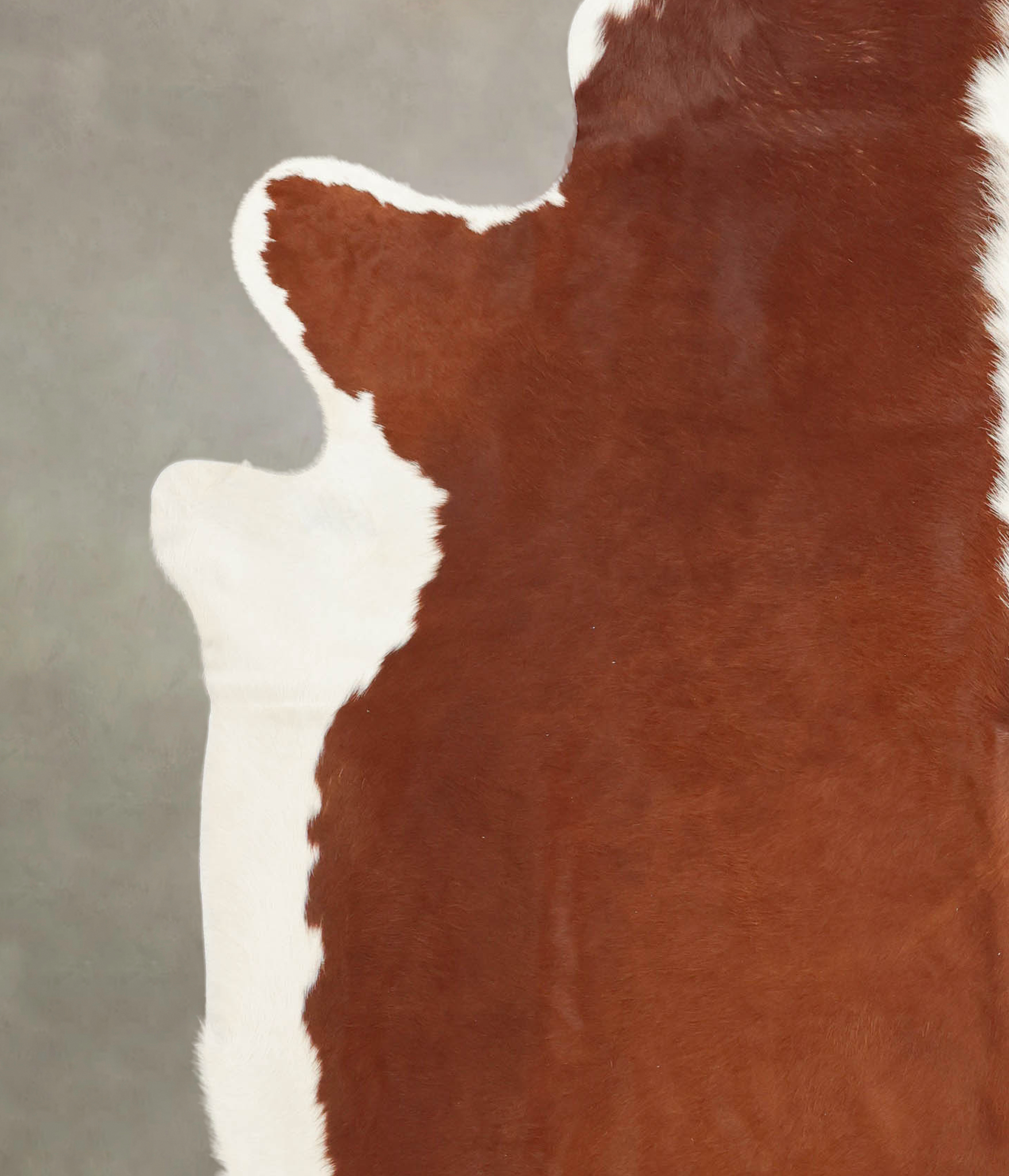 Hereford Cowhide Rug #B1388