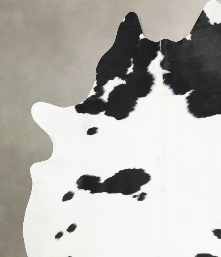 Black and White XX-Large Brazilian Cowhide Rug 8'11"H x 6'8"W #B13903 by Hudson Hides