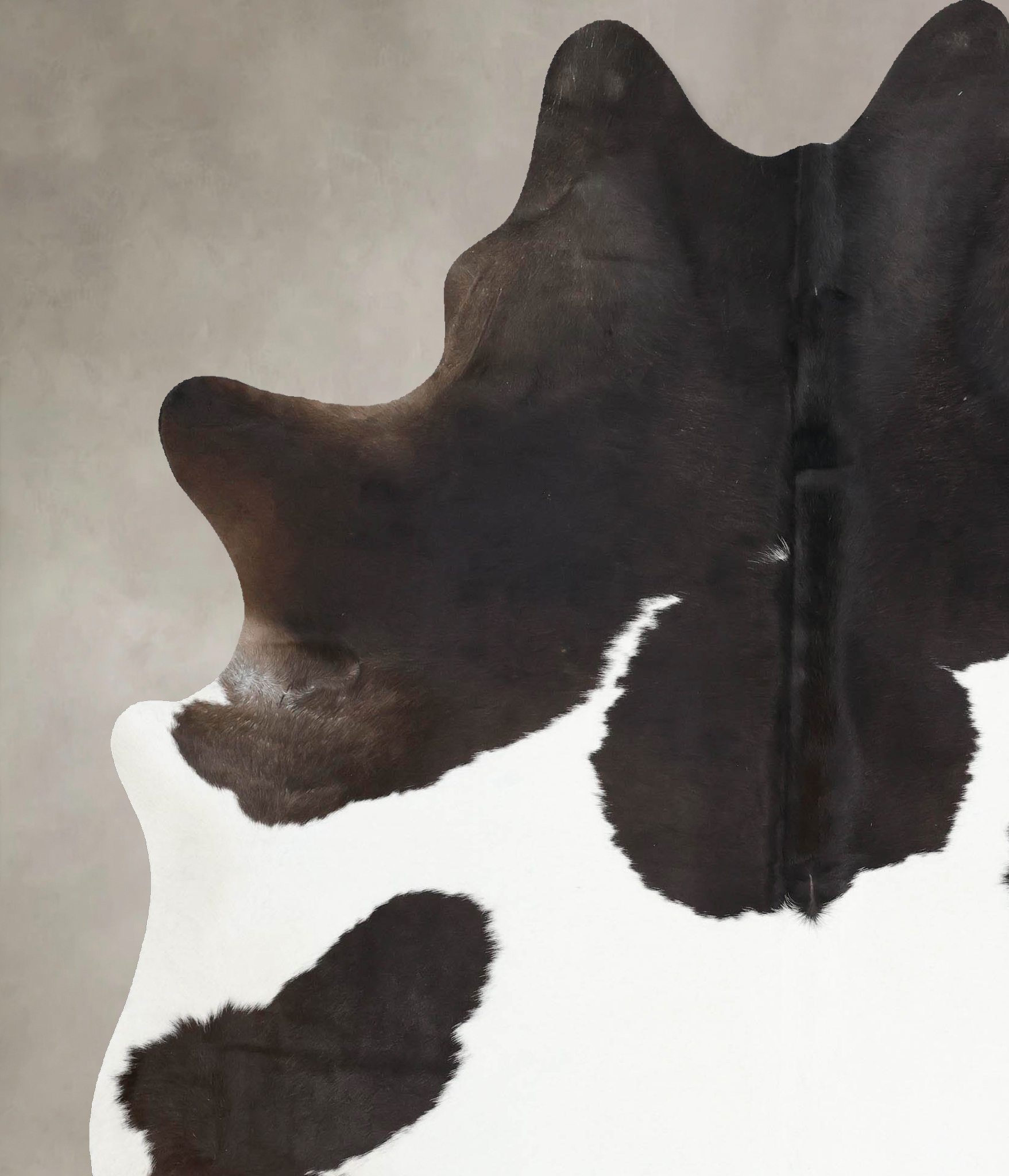 Chocolate and White Cowhide Rug #B13922