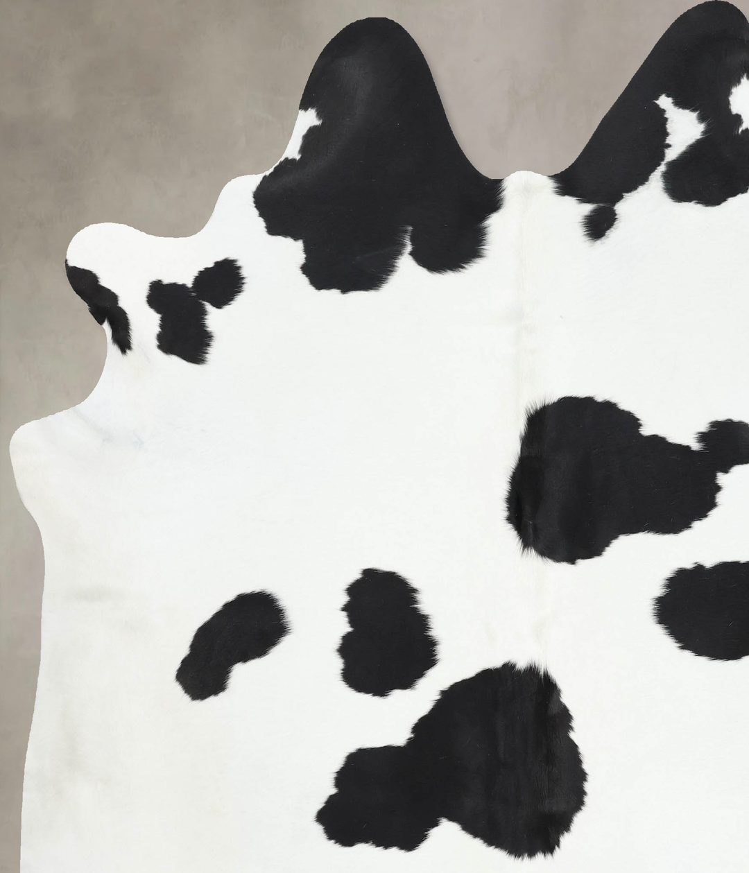 Black and White XX-Large Brazilian Cowhide Rug 7'8"H x 6'10"W #B13923 