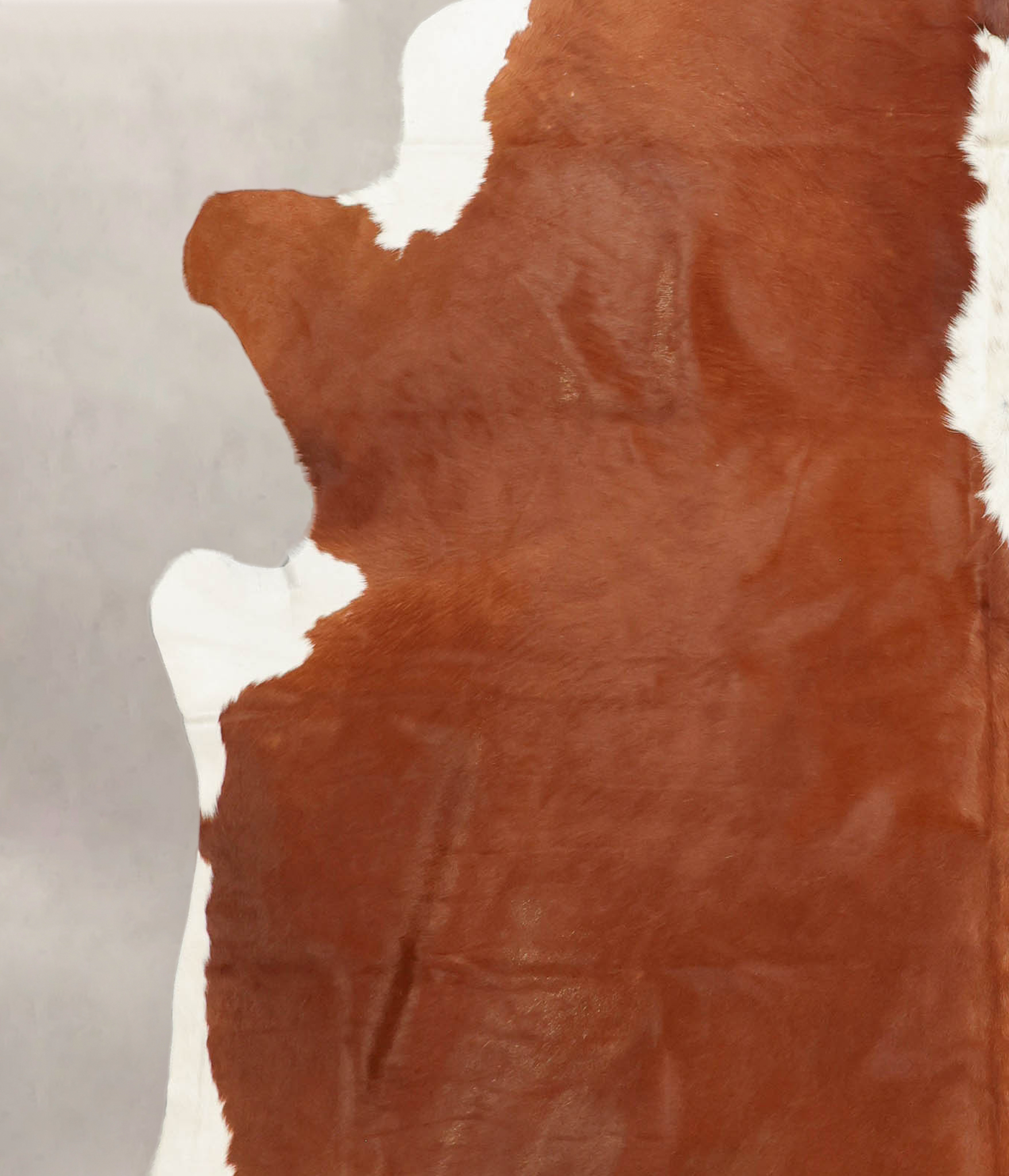 Hereford Cowhide Rug #B1394