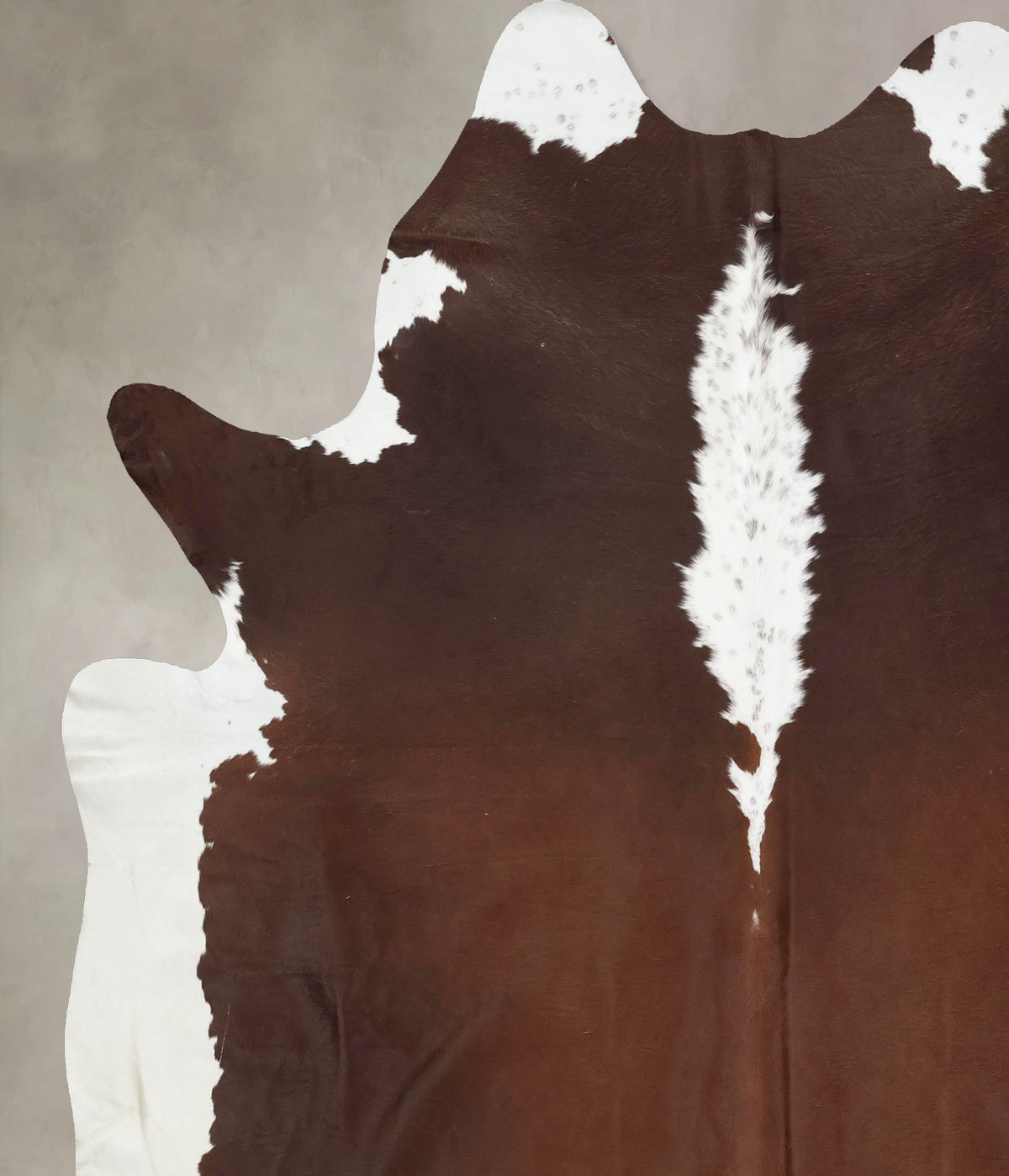 Hereford XX-Large Brazilian Cowhide Rug 8'6"H x 7'1"W #B13944 by Hudson Hides