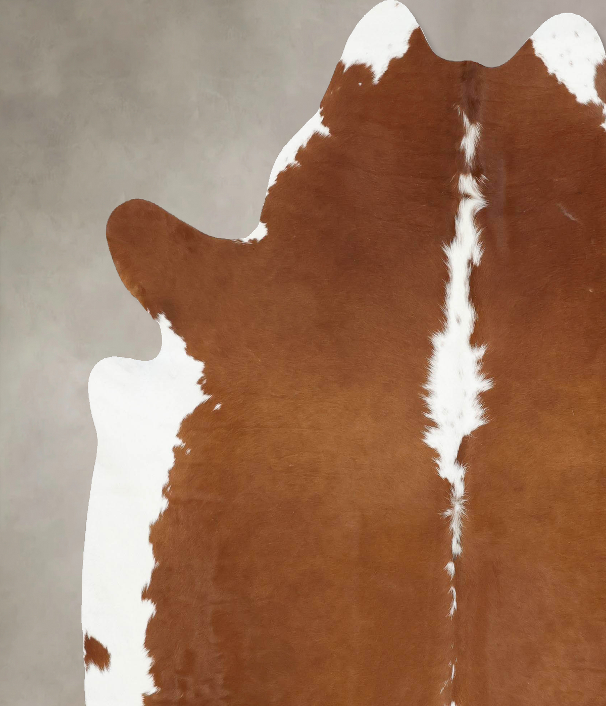 Hereford XX-Large Brazilian Cowhide Rug 7'11"H x 6'7"W #B13945 by Hudson Hides