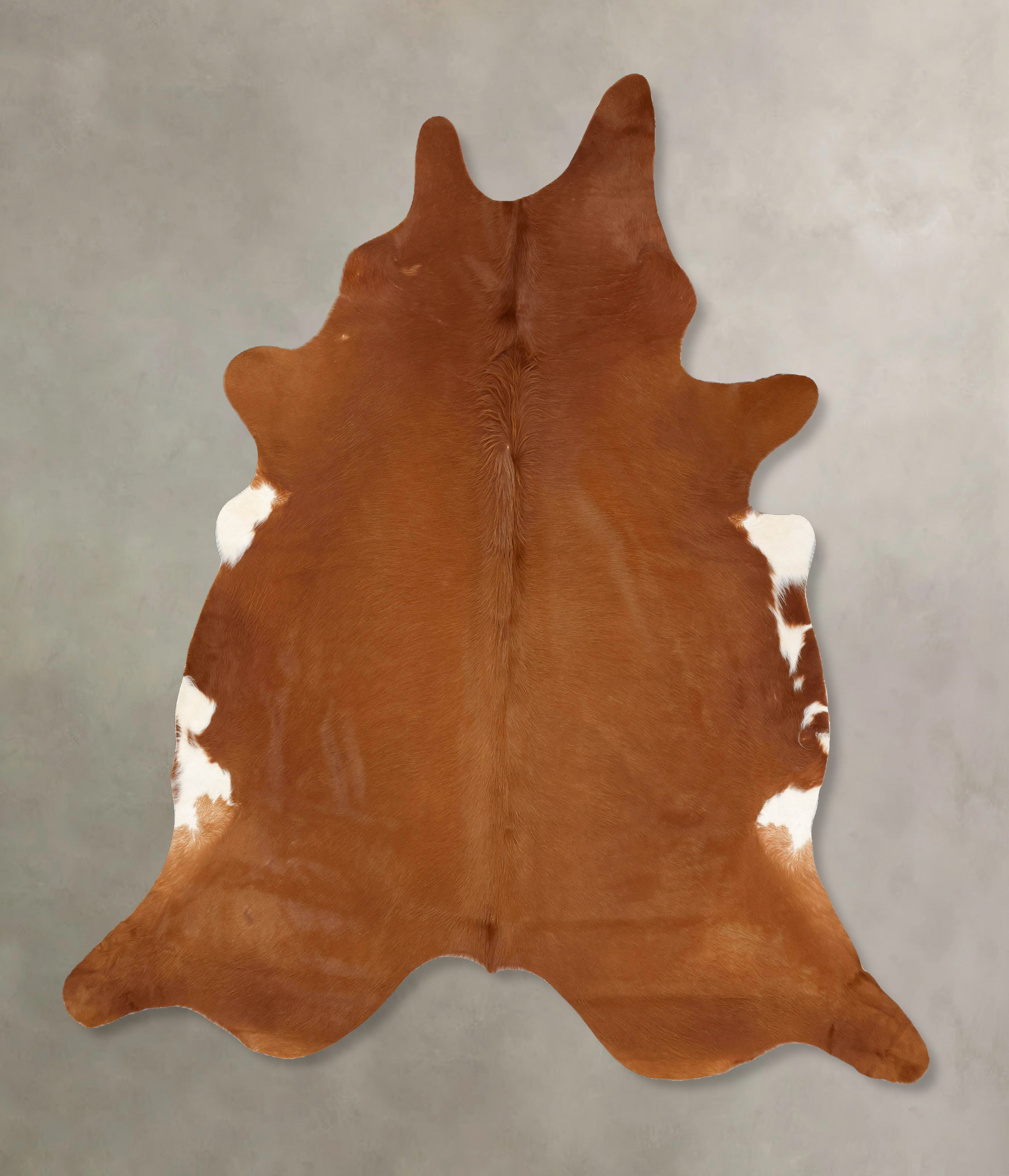 Solid Brown Cowhide Rug #B13948