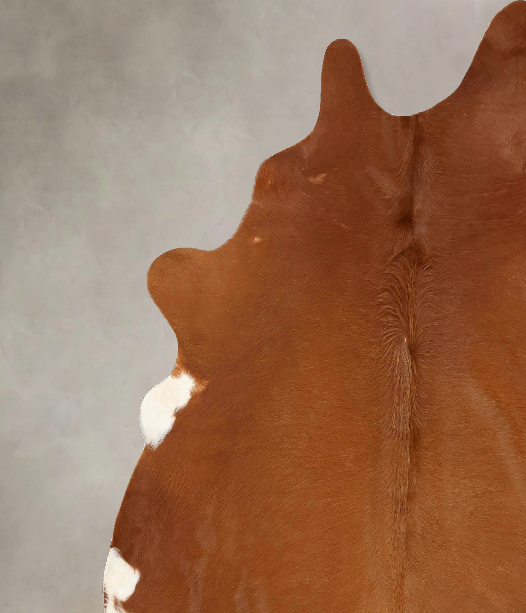 Solid Brown Cowhide Rug #B13948