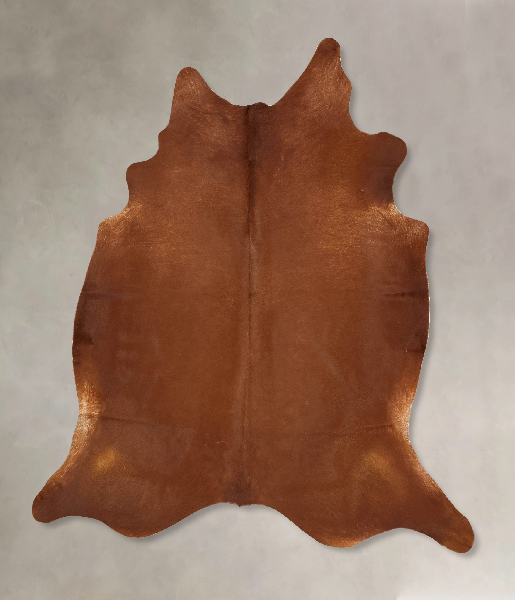 Solid Brown Cowhide Rug #B13949