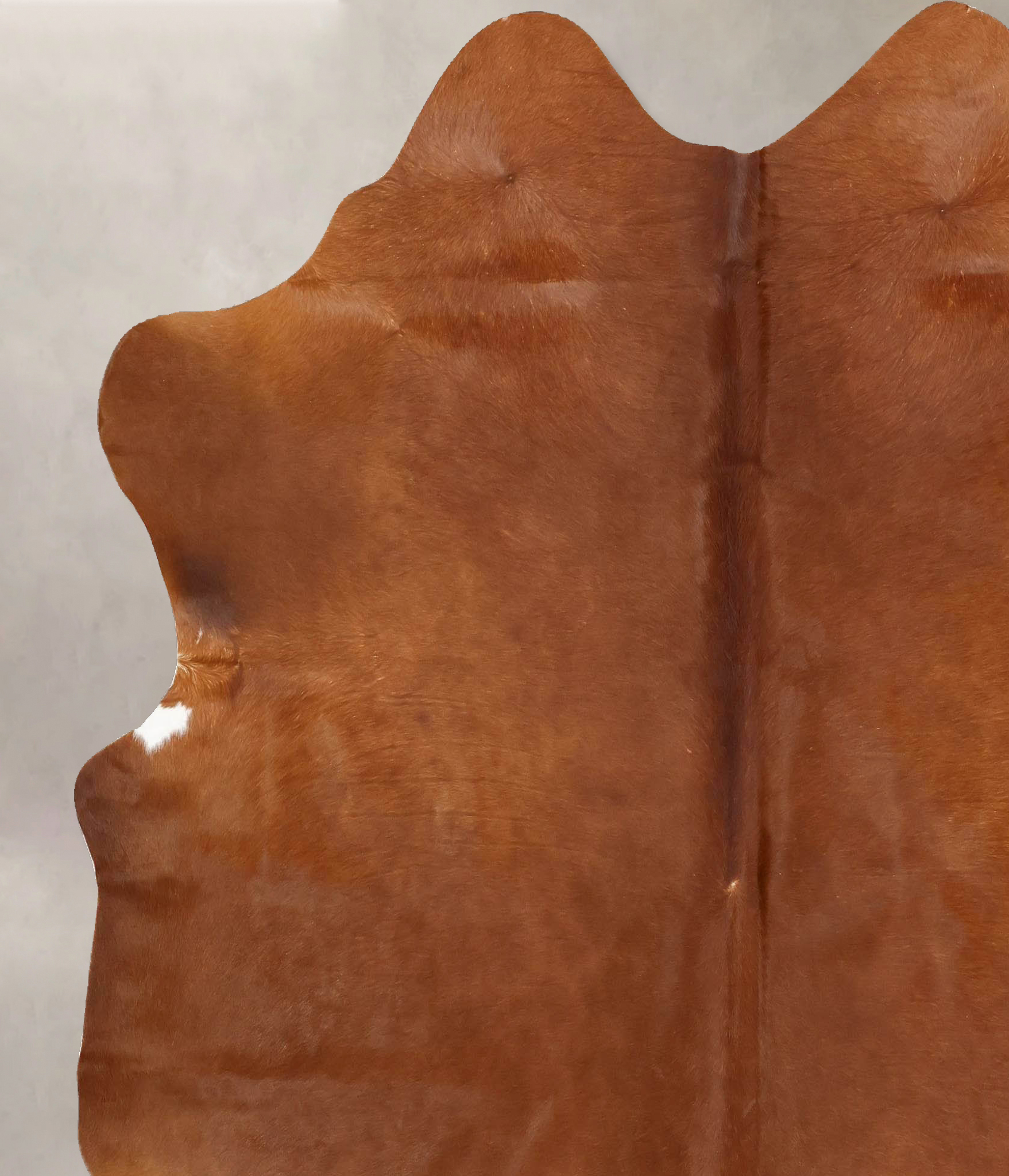 Solid Brown Cowhide Rug #B13950