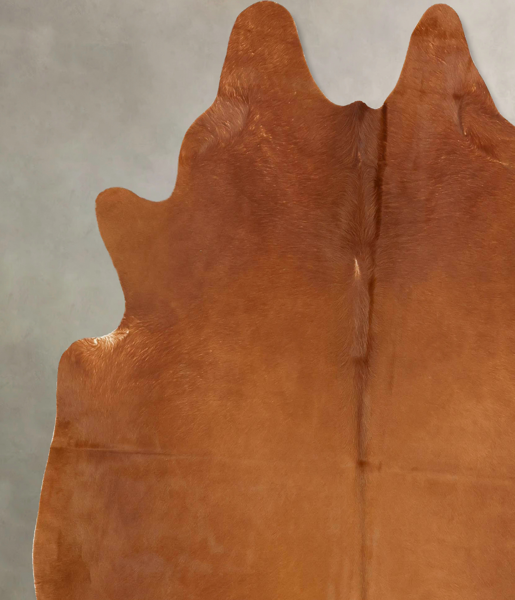 Solid Brown Cowhide Rug #B13951