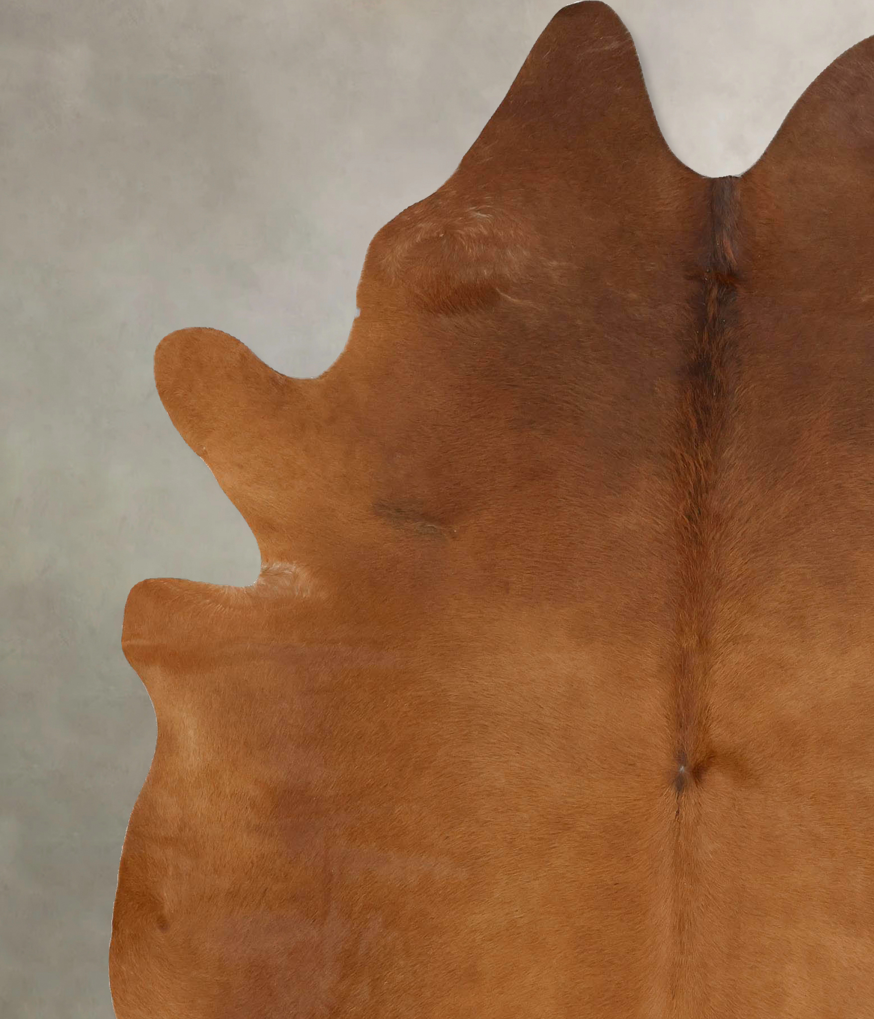 Solid Brown Cowhide Rug #B13969