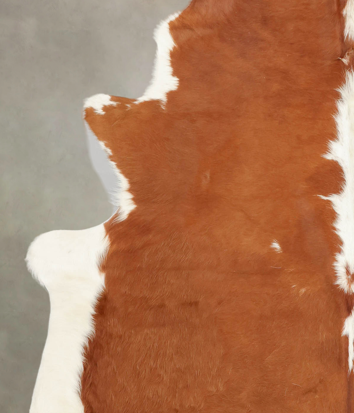 Brown and White X-Large Brazilian Cowhide Rug 7'4"H x 6'1"W #B1397 by Hudson Hides