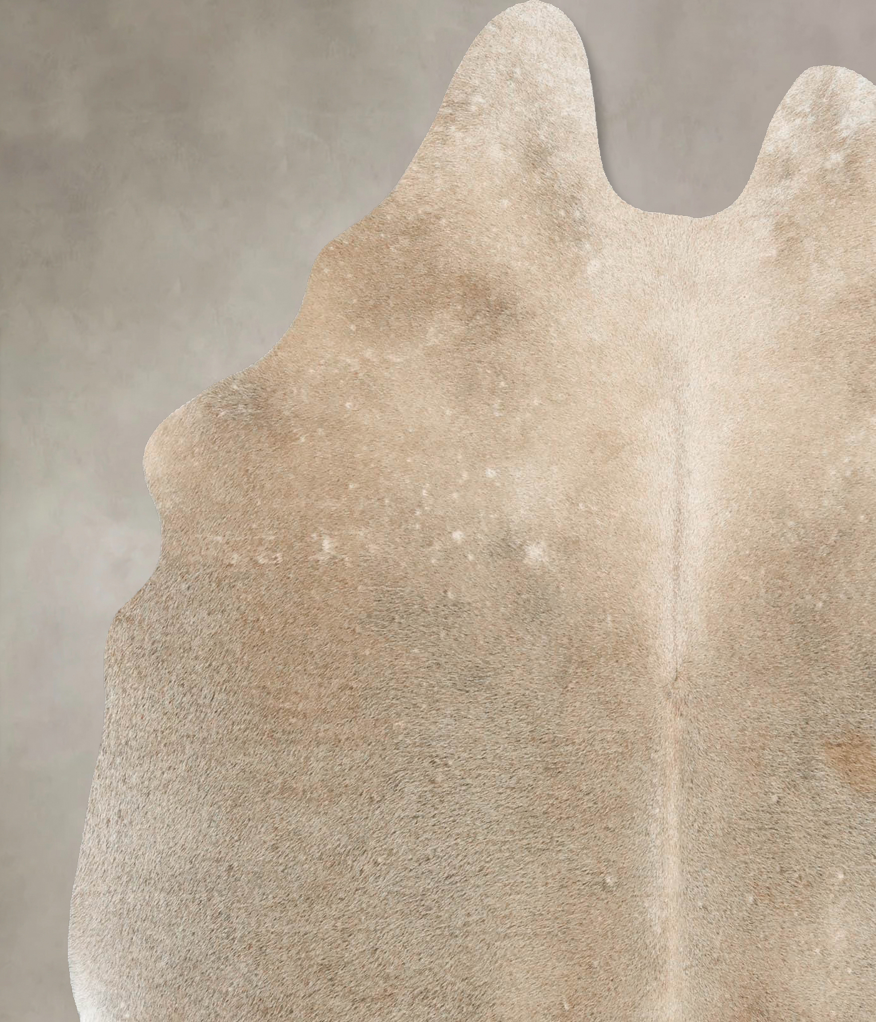 Grey with Beige Cowhide Rug #B13975