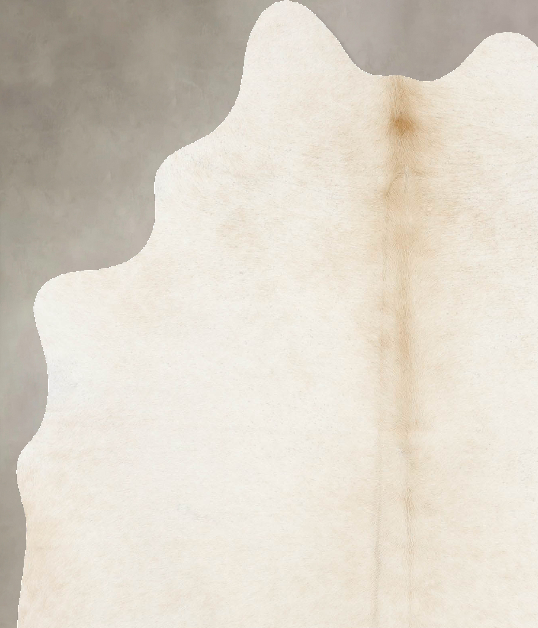 Ivory with Beige Cowhide Rug #B13978