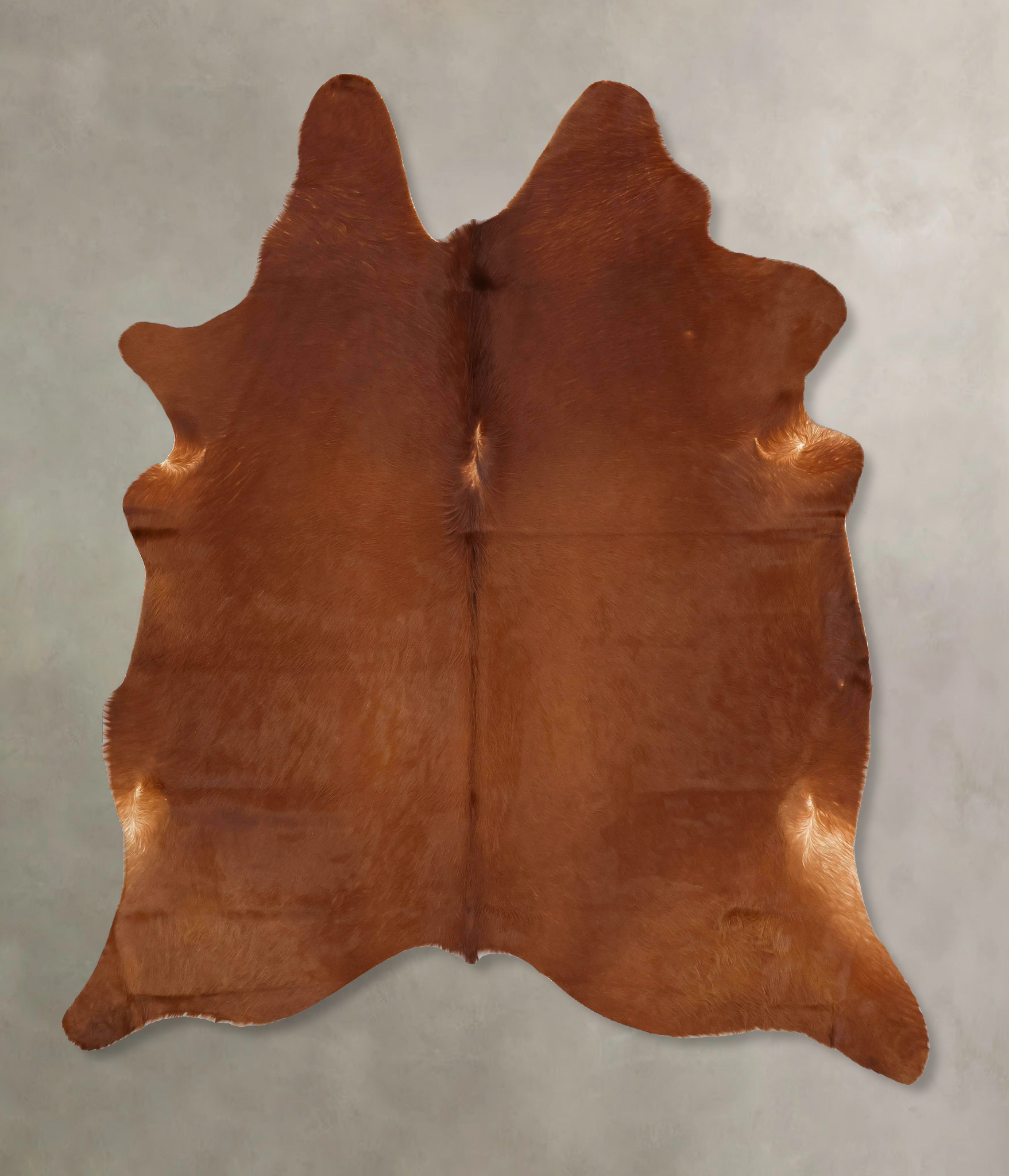 Solid Brown Cowhide Rug #B13985