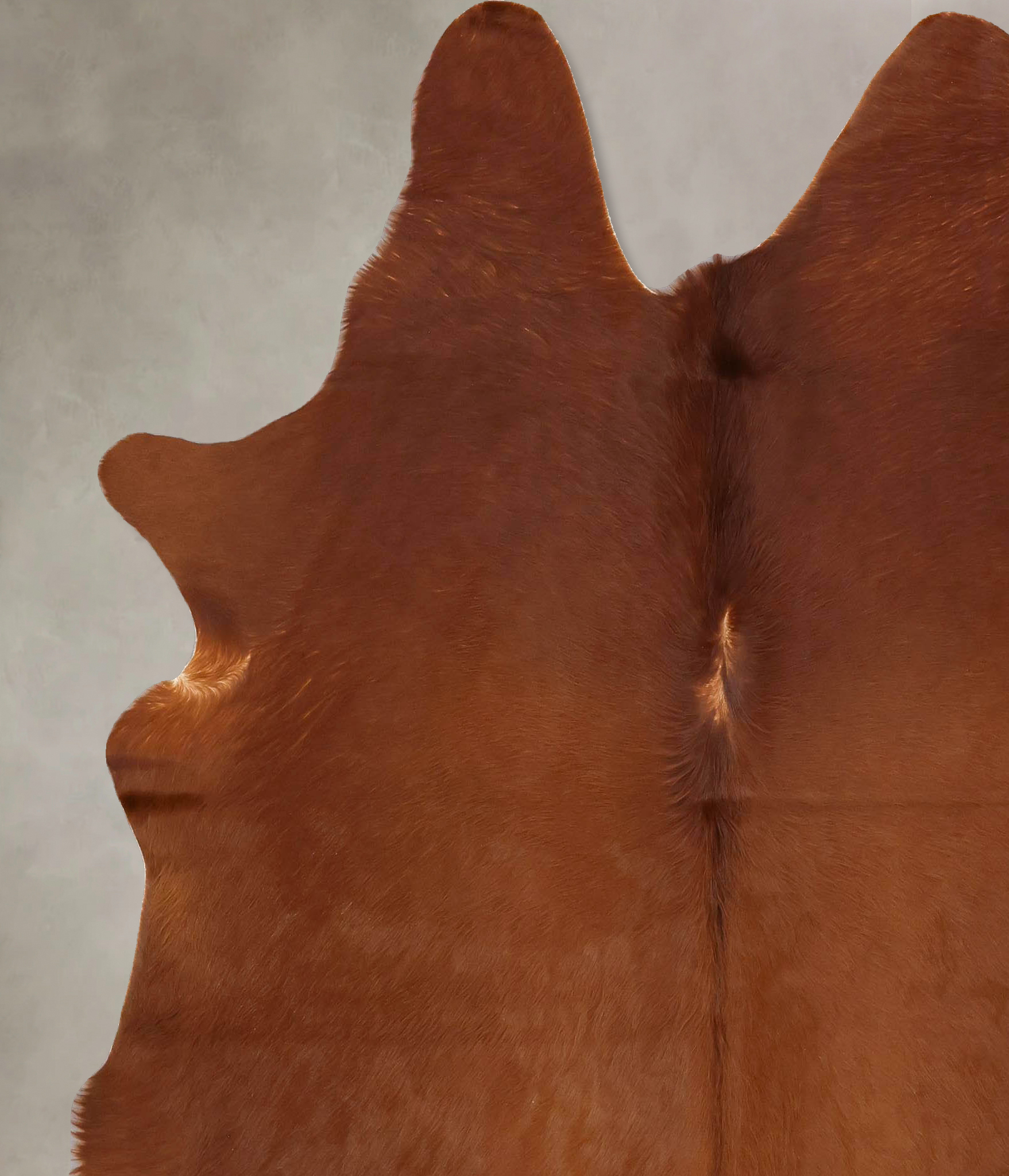 Solid Brown Cowhide Rug #B13985