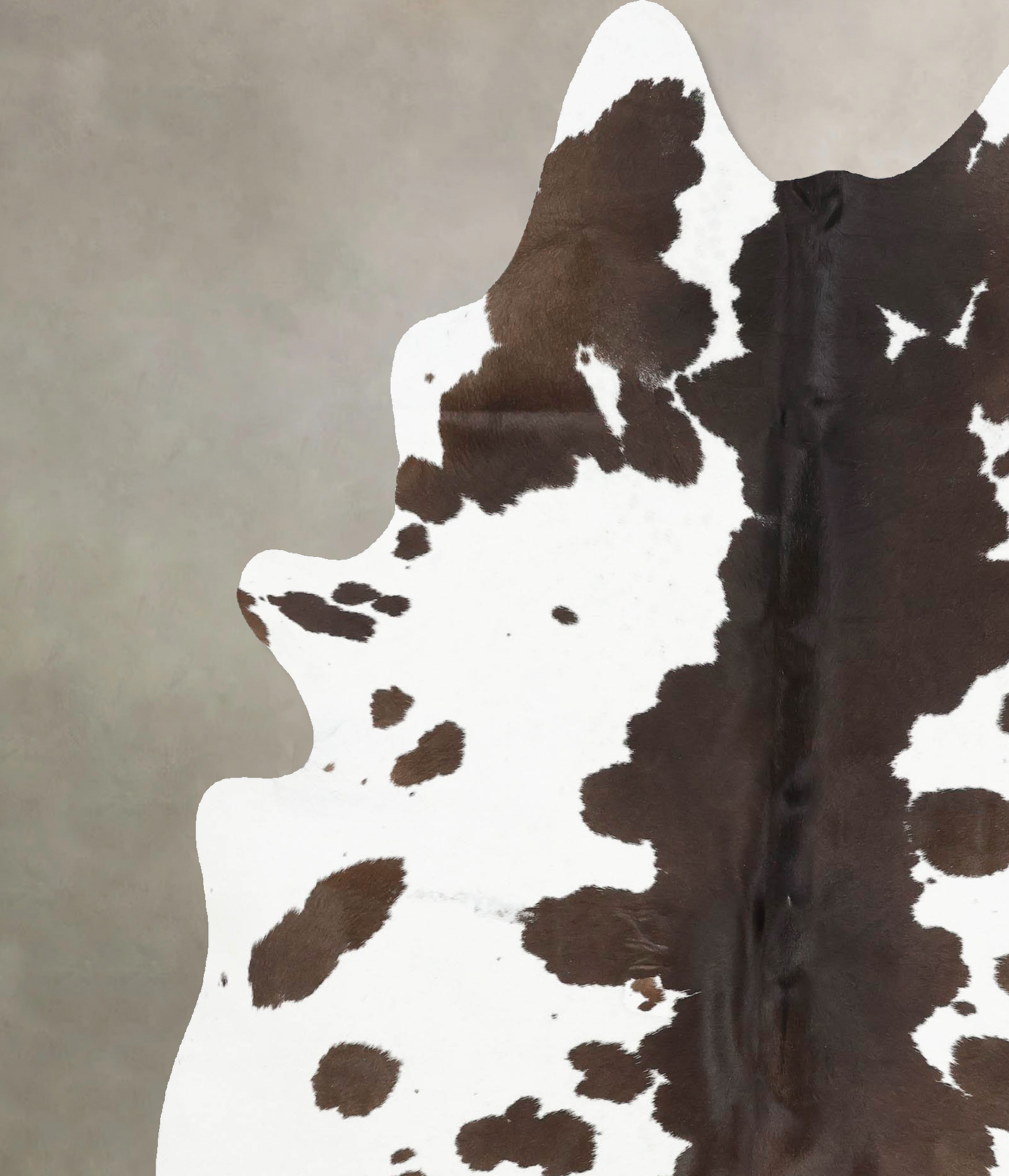 Chocolate and White Cowhide Rug #B13991