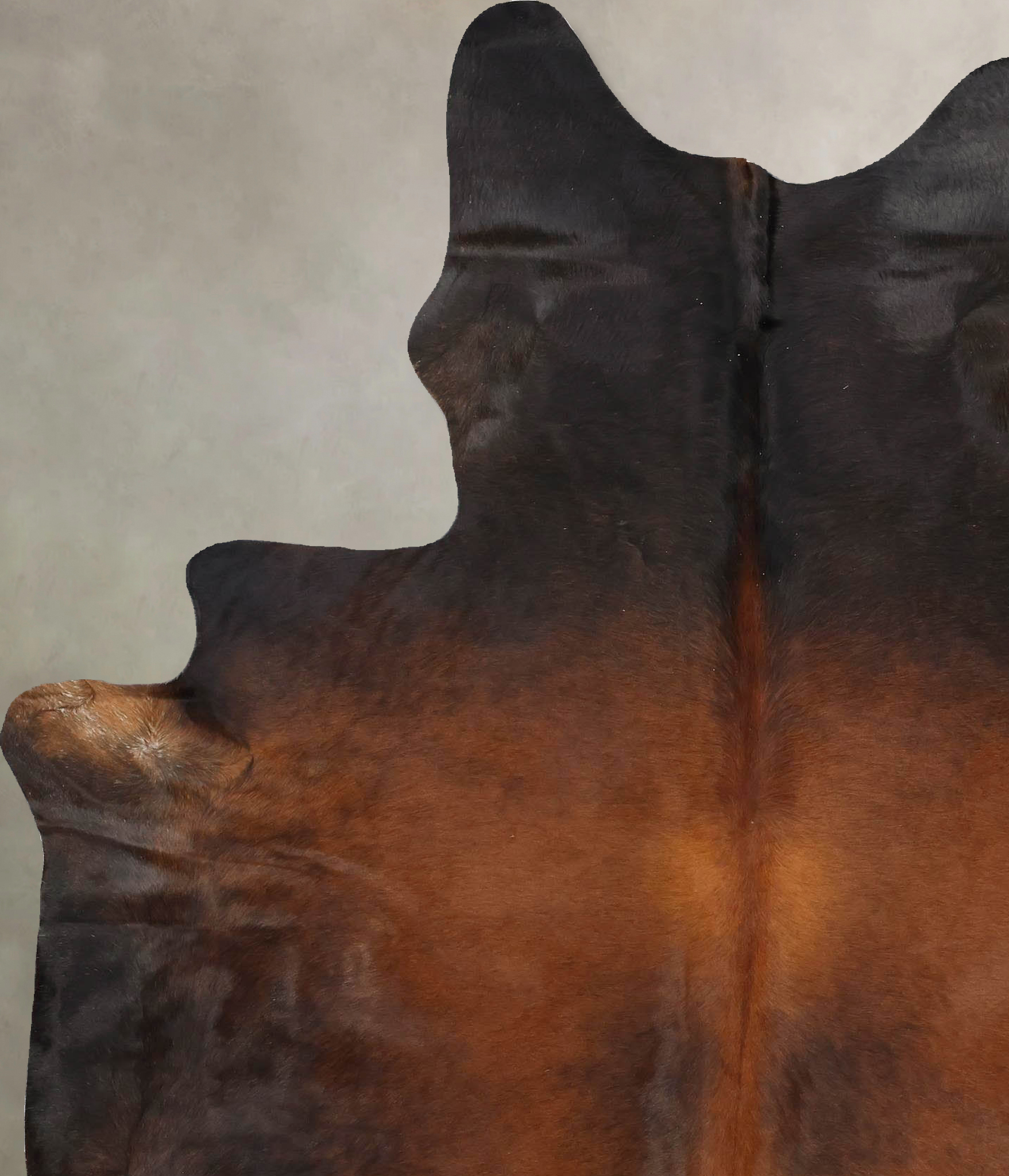 Warm Caramel Cowhide Rug #B13995
