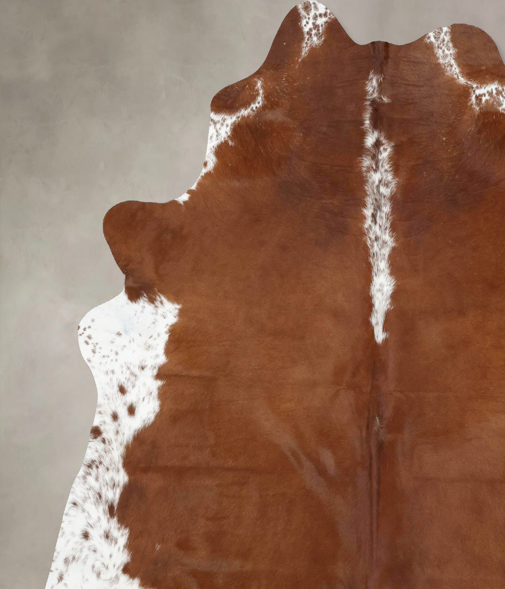 Brown and White Regular Cowhide Rug #B14005