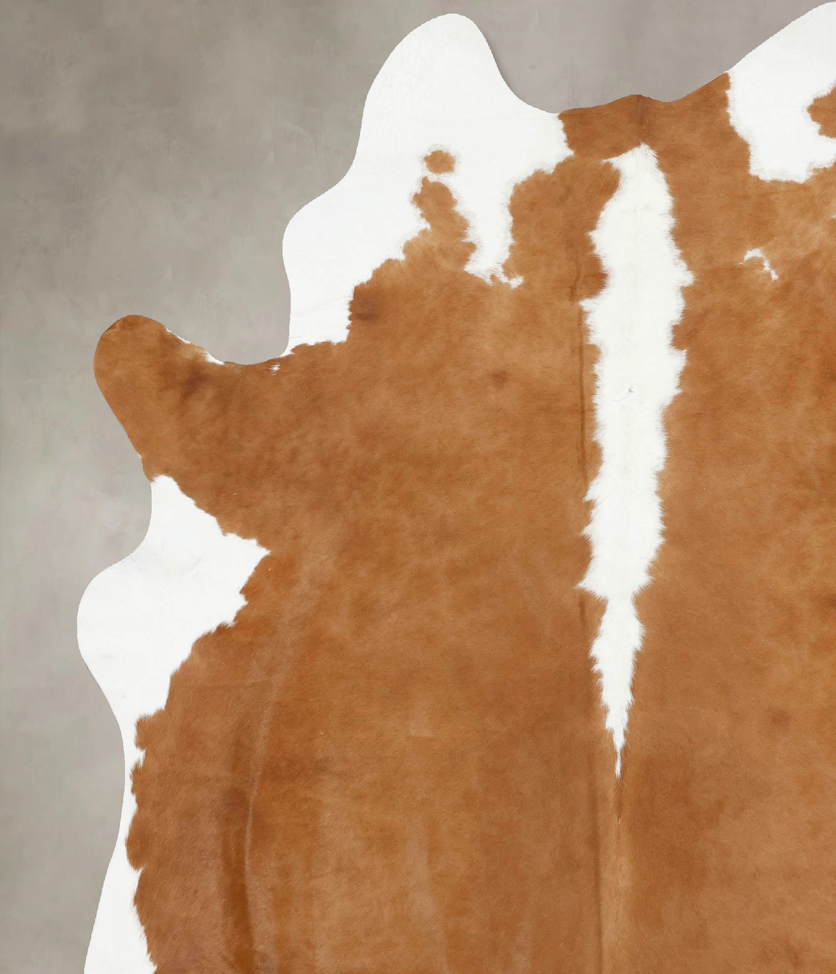 Hereford XX-Large Brazilian Cowhide Rug 8'7"H x 7'0"W #B14006 by Hudson Hides