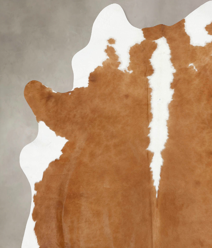 Hereford XX-Large Brazilian Cowhide Rug 8'7"H x 7'0"W #B14006 by Hudson Hides
