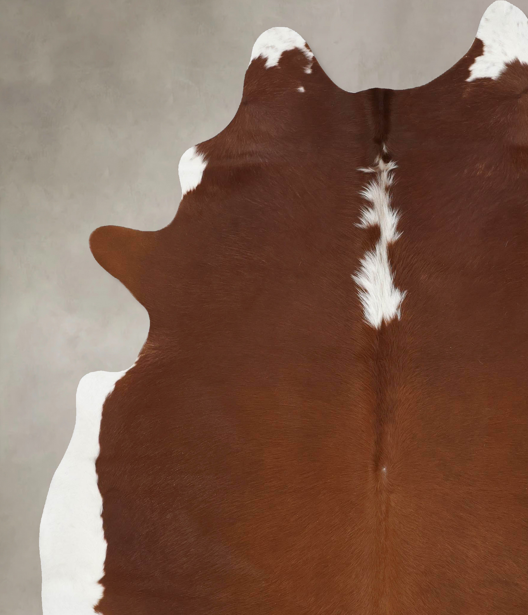 Brown and White Regular Cowhide Rug #B14007