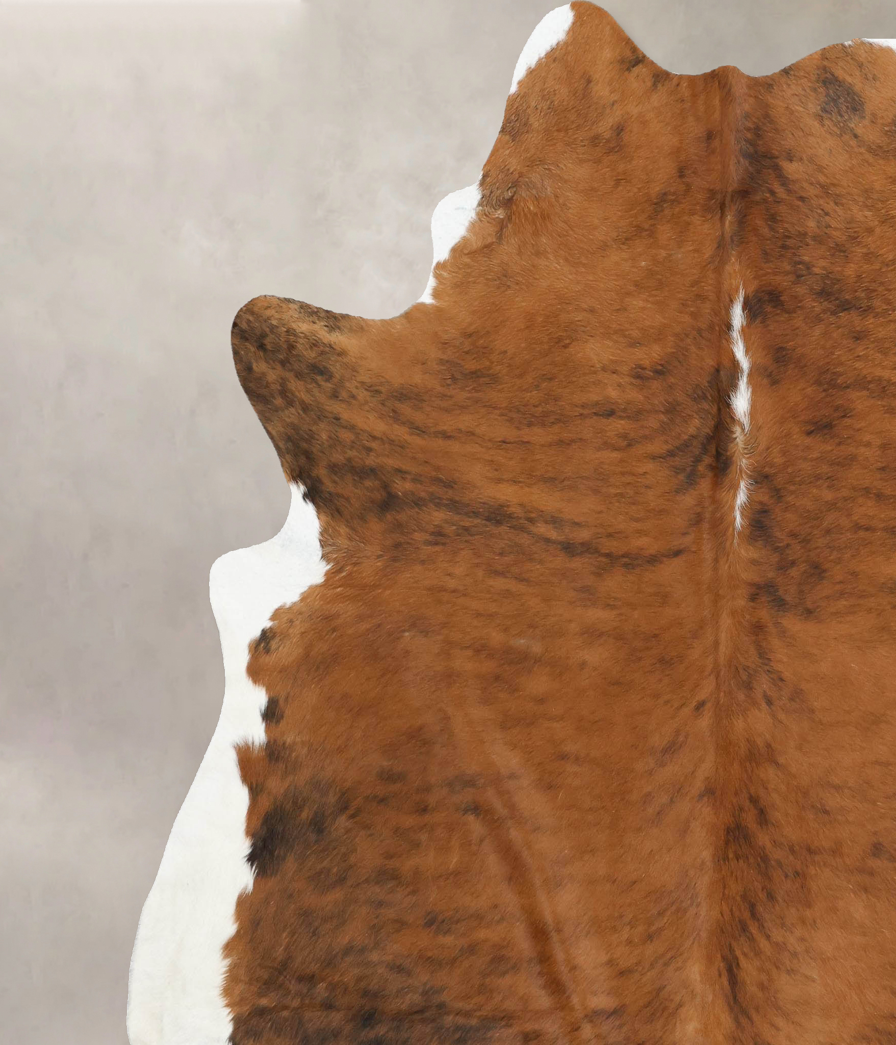 Medium Brindle Cowhide Rug #B14013
