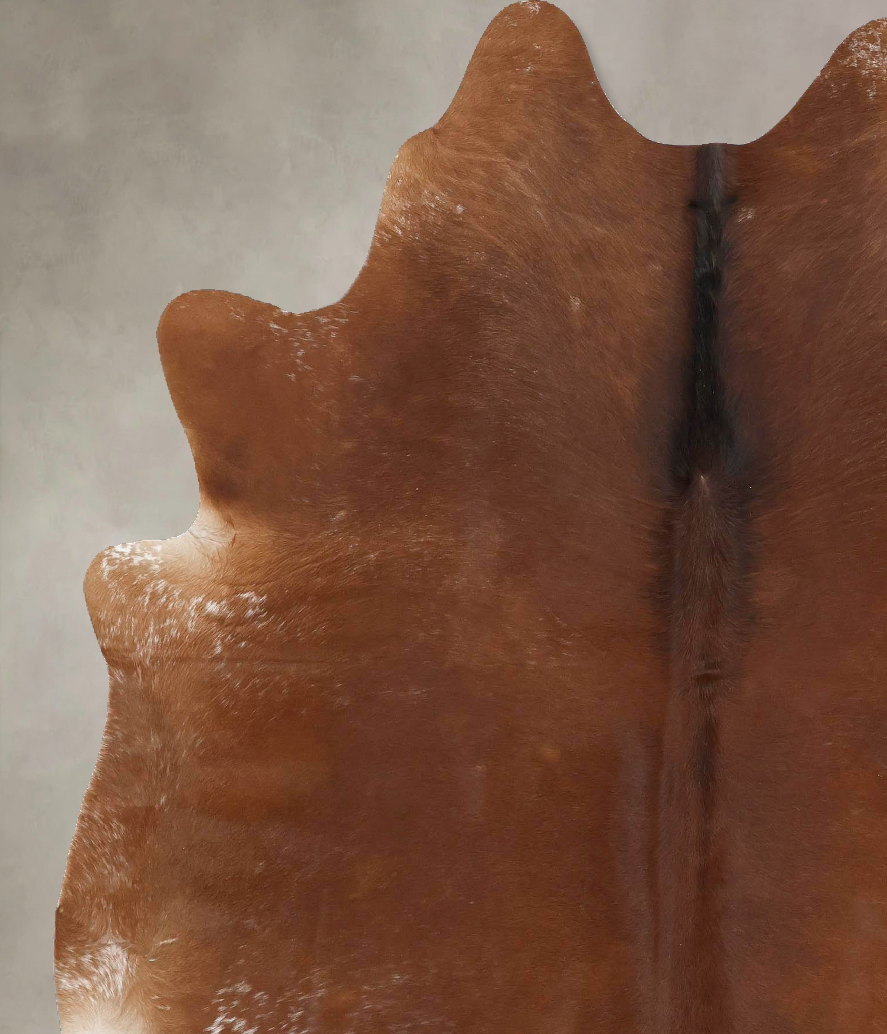 Solid Brown Cowhide Rug #B14023