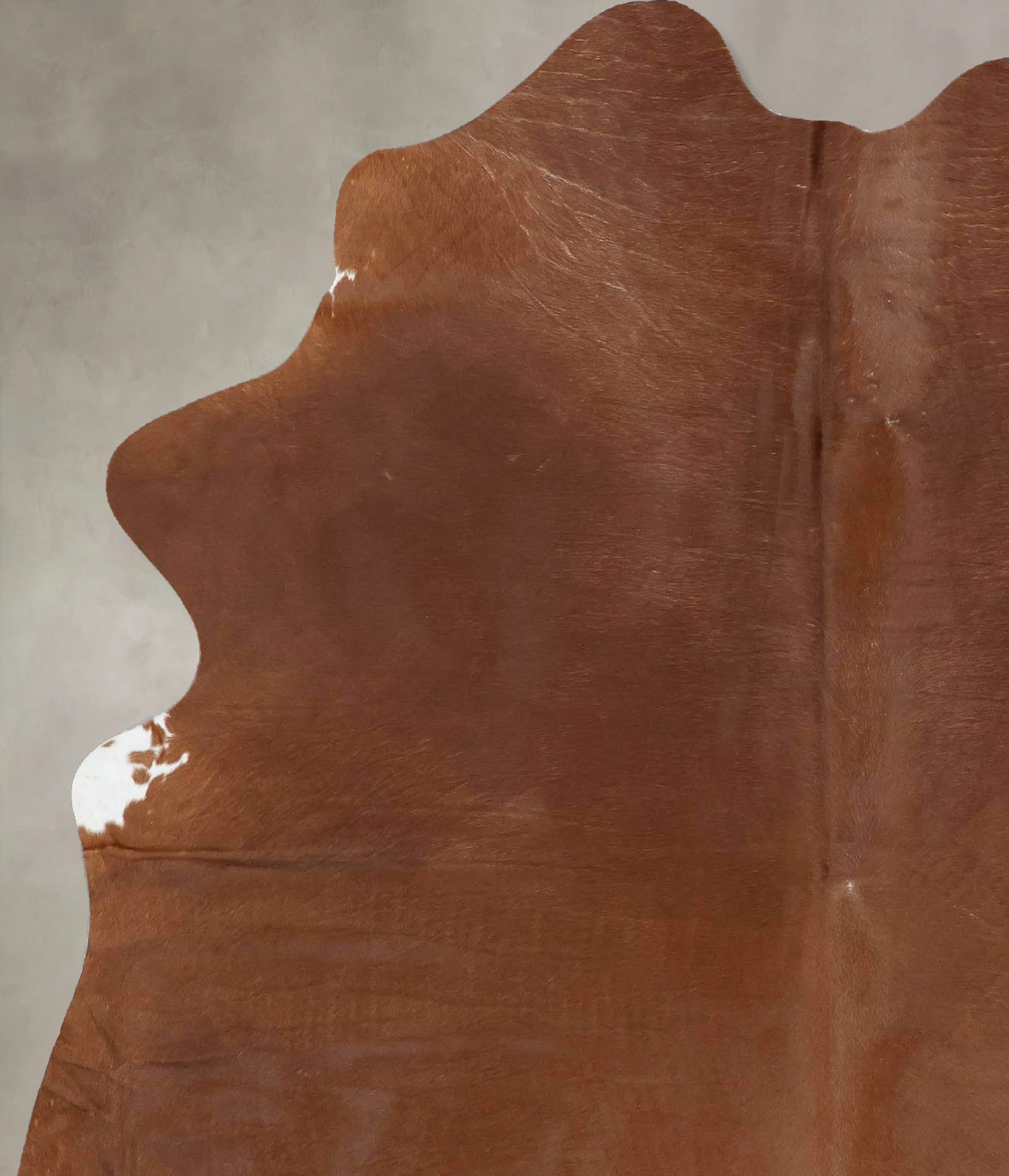 Solid Brown Cowhide Rug #B14028