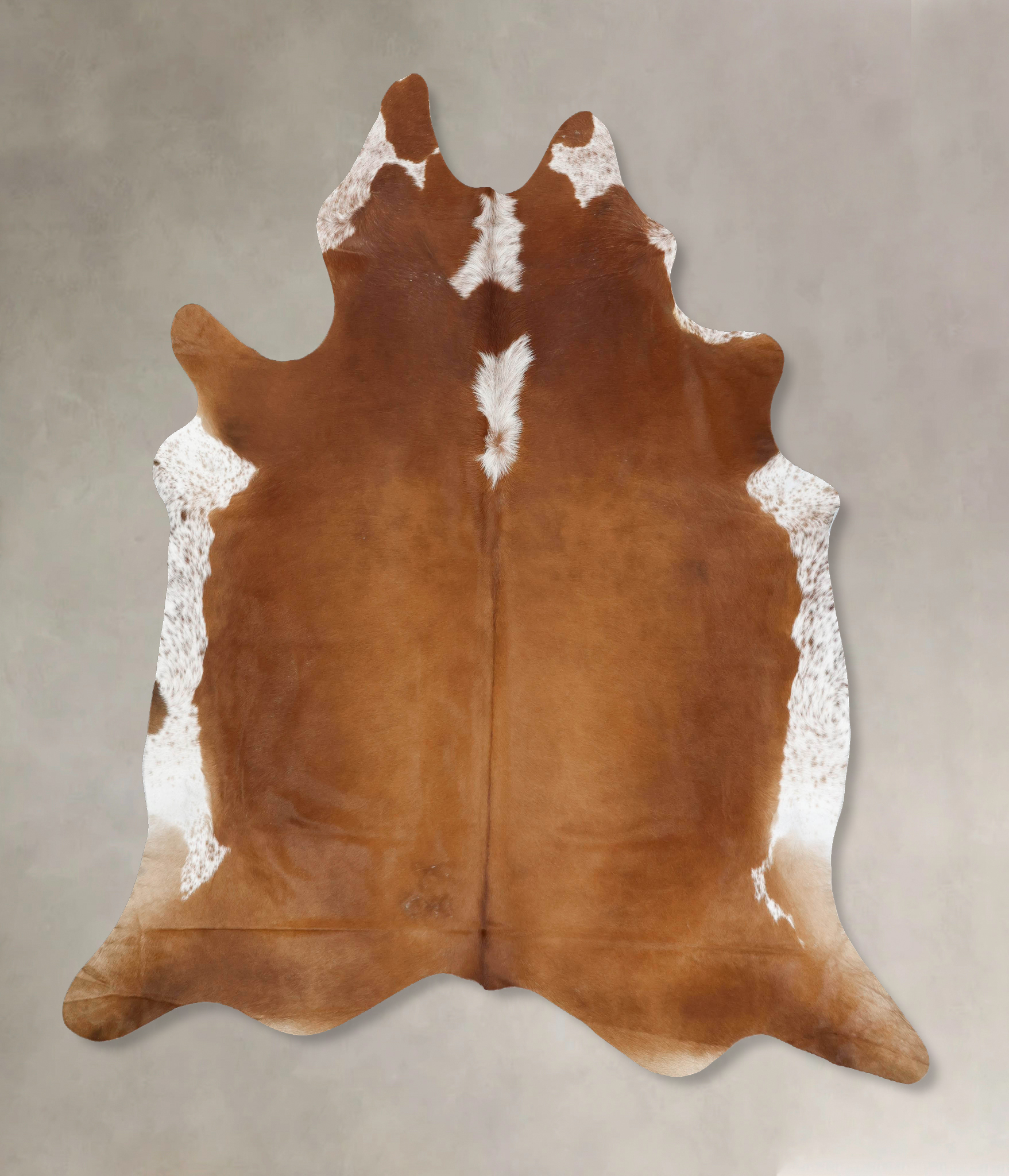 Brown and White Regular Cowhide Rug #B14031
