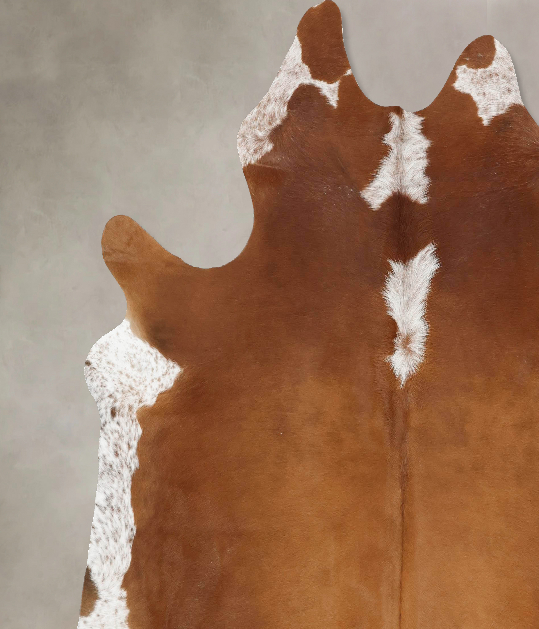 Brown and White Regular Cowhide Rug #B14031