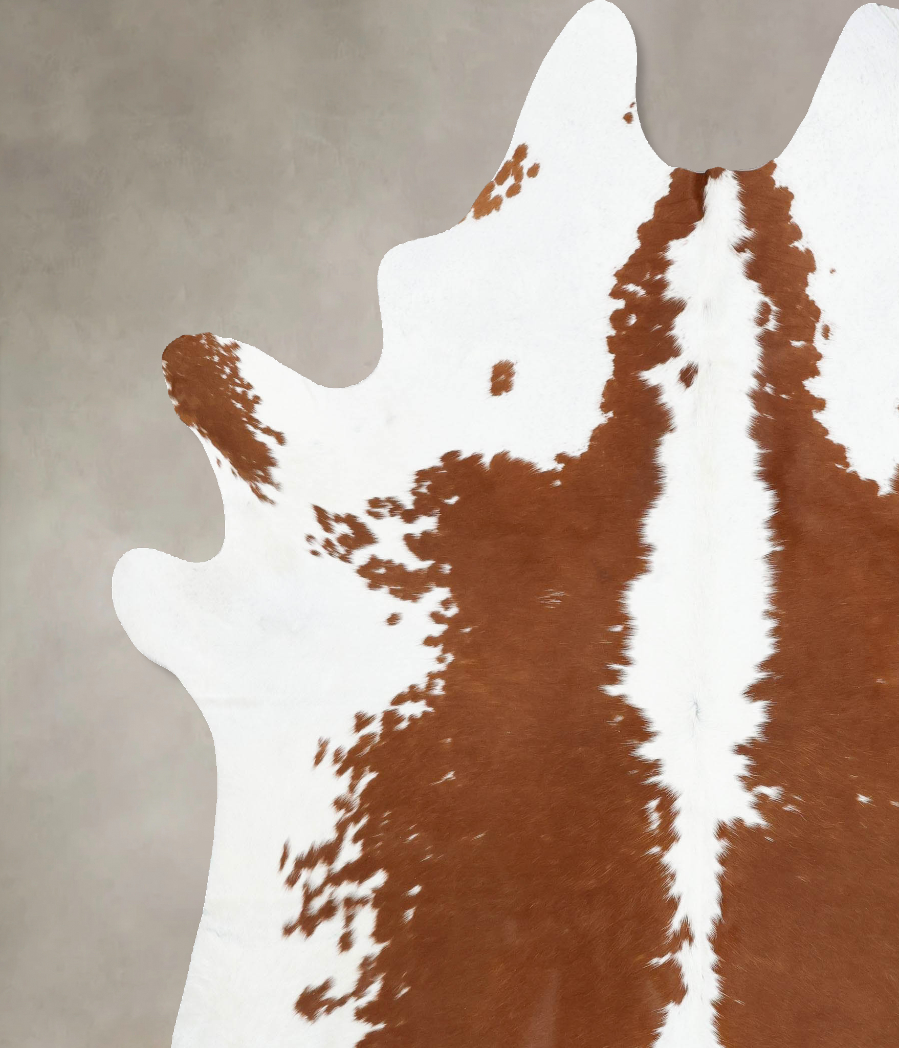 Brown and White Cowhide Rug #B14033