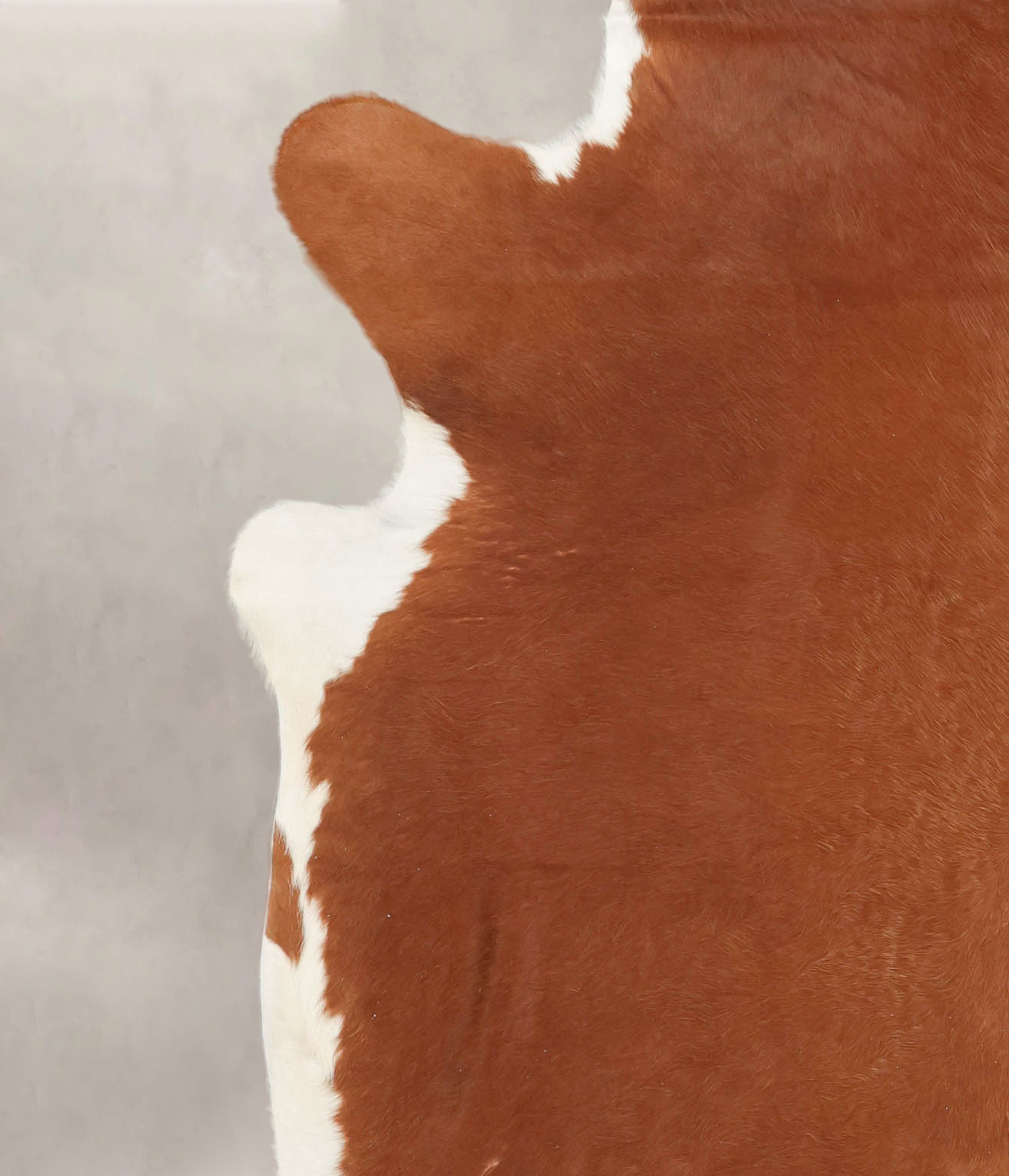Hereford Cowhide Rug #B1404