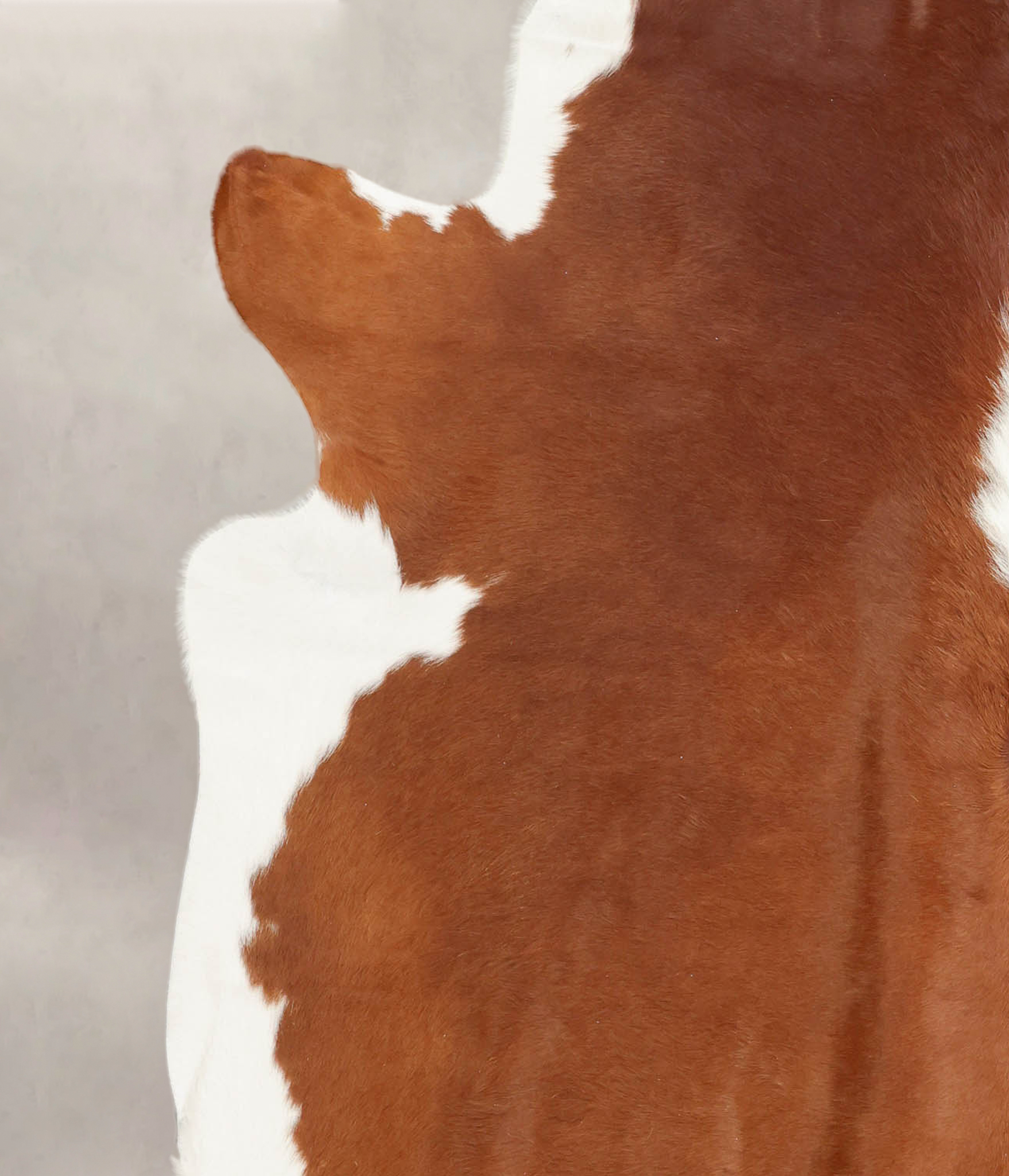 Hereford Cowhide Rug #B1410