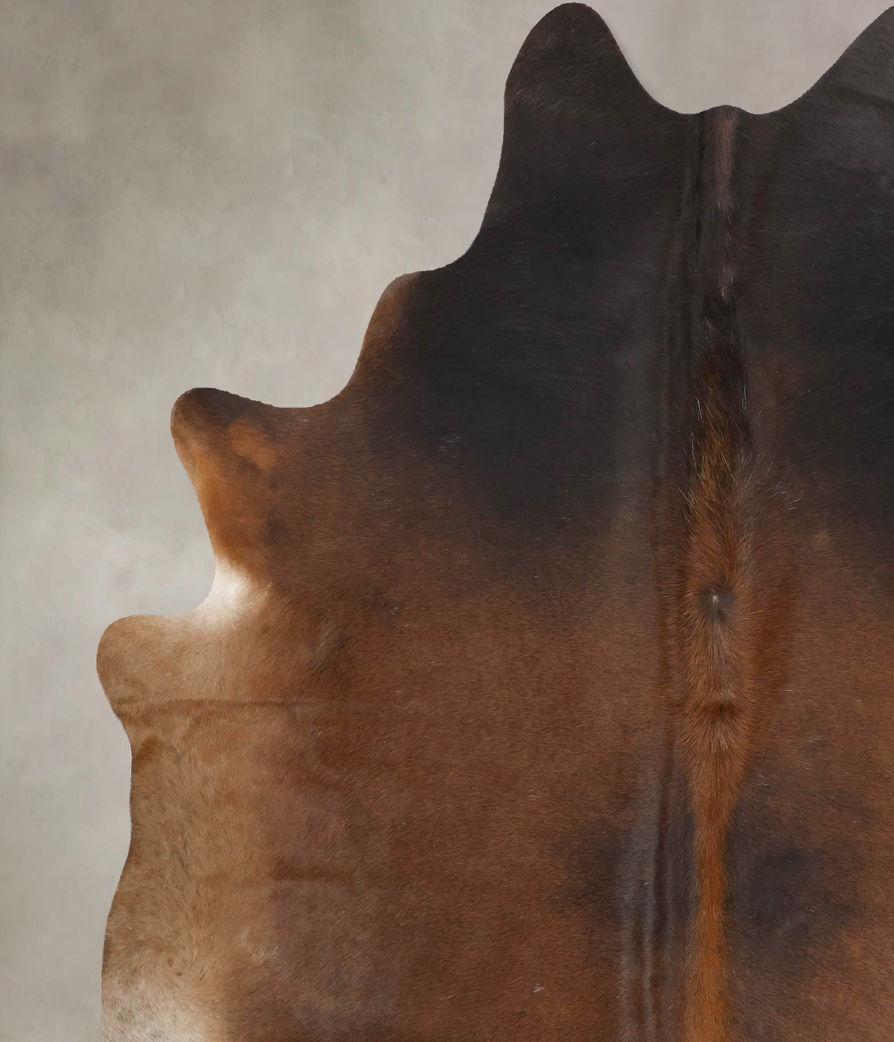 Warm Caramel Cowhide Rug #B14100