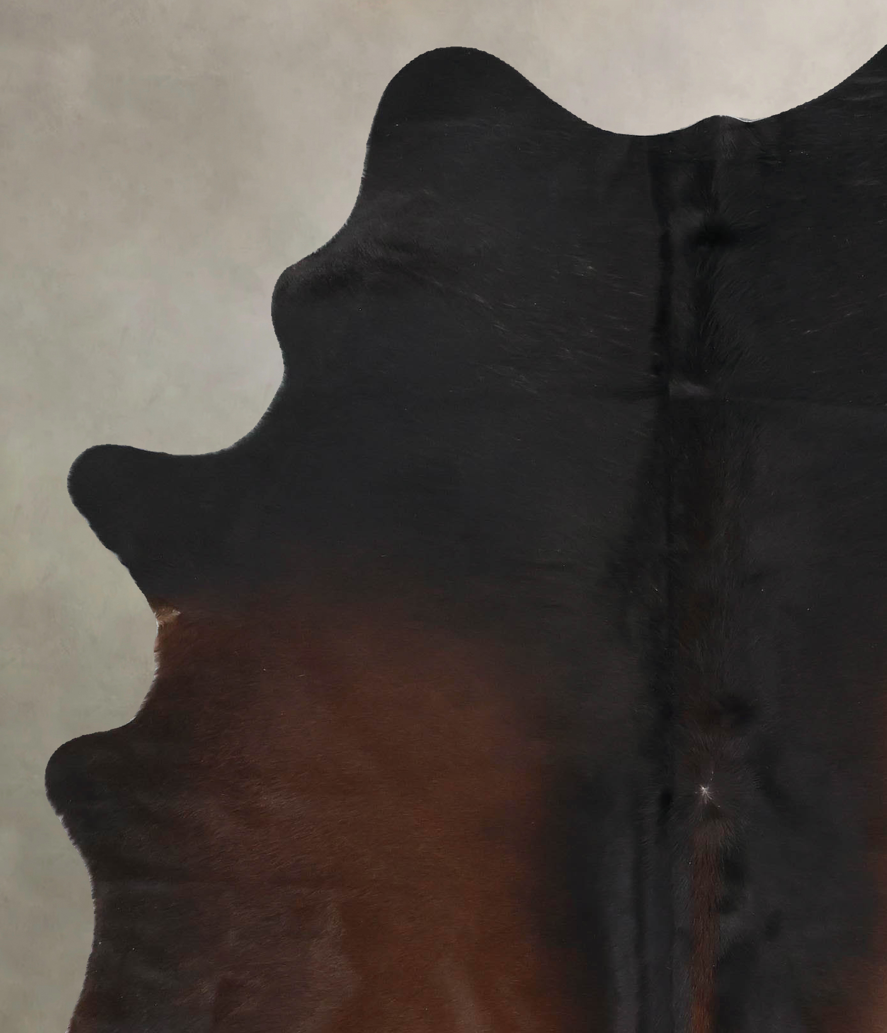 Chocolate Cowhide Rug #B14101
