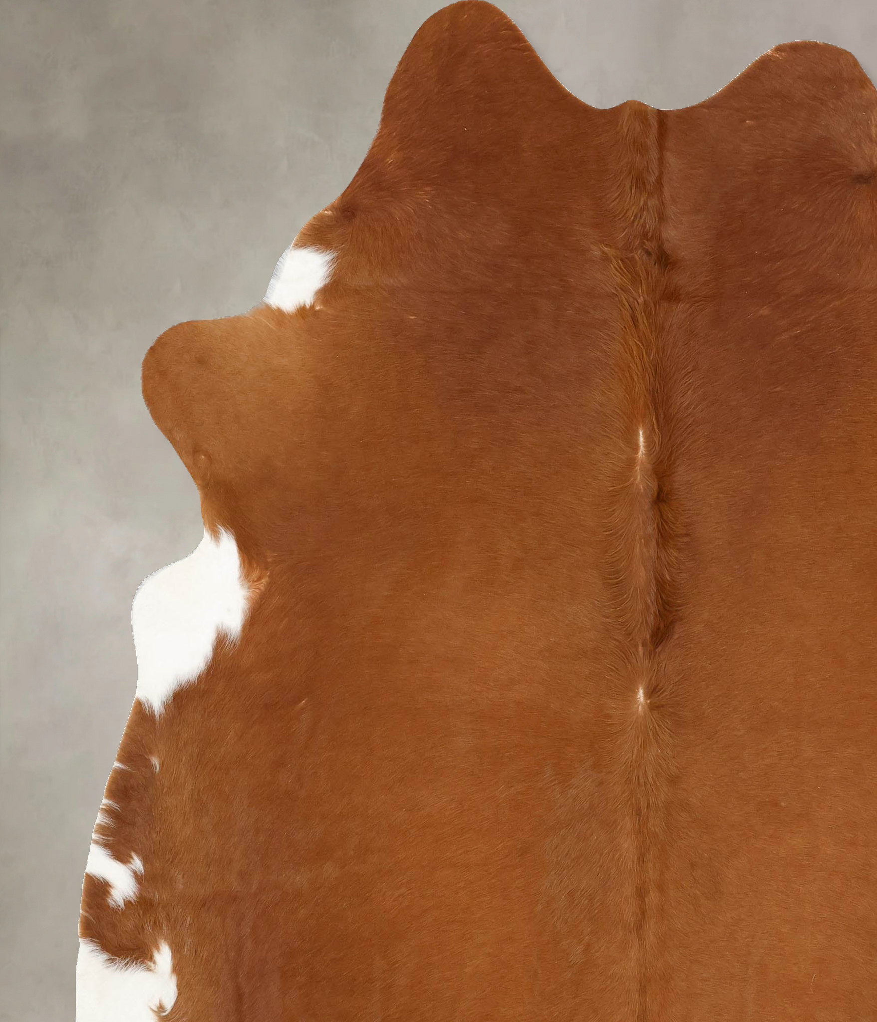 Solid Brown Cowhide Rug #B14106