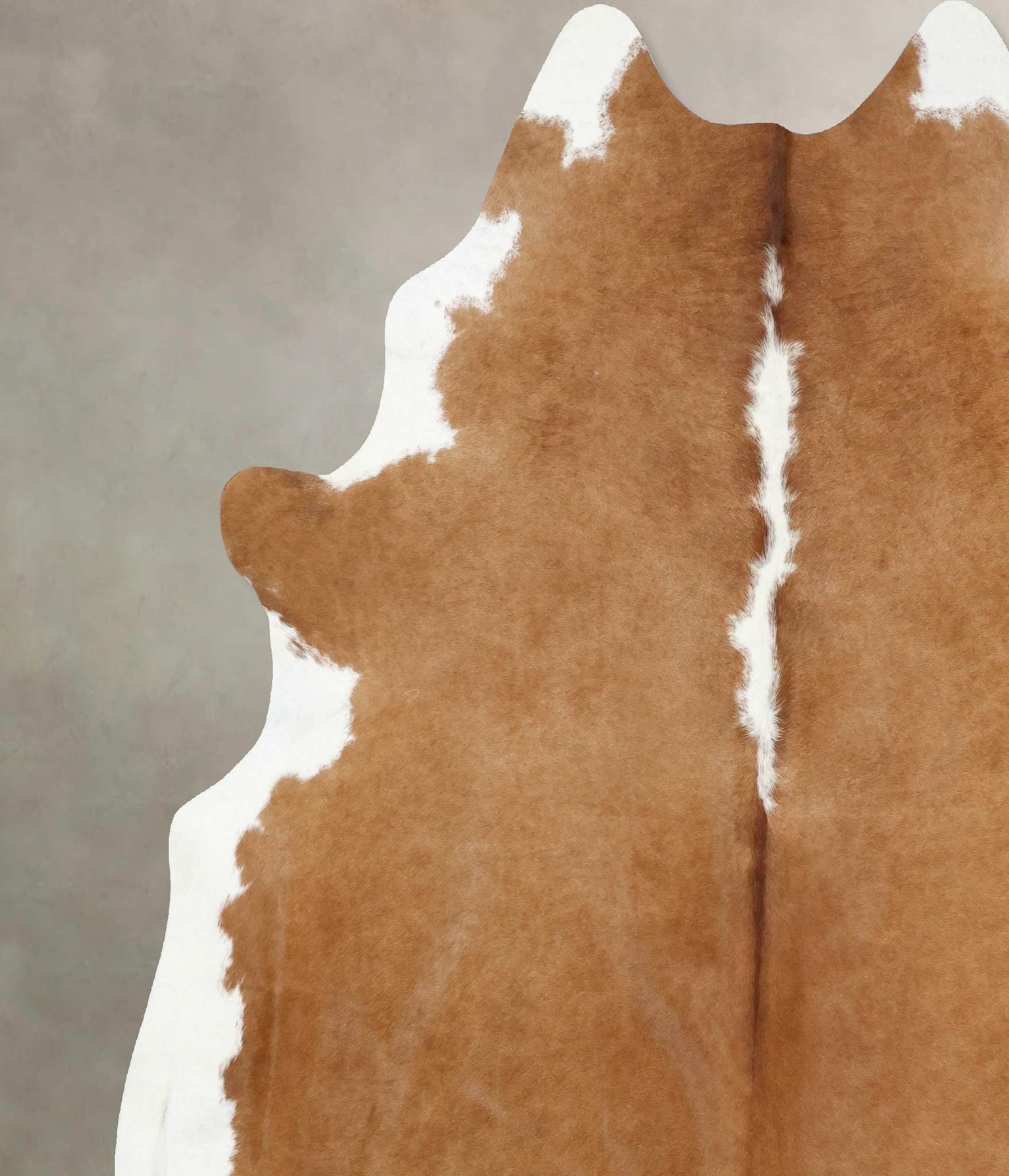 Brown and White Regular Cowhide Rug #B14109