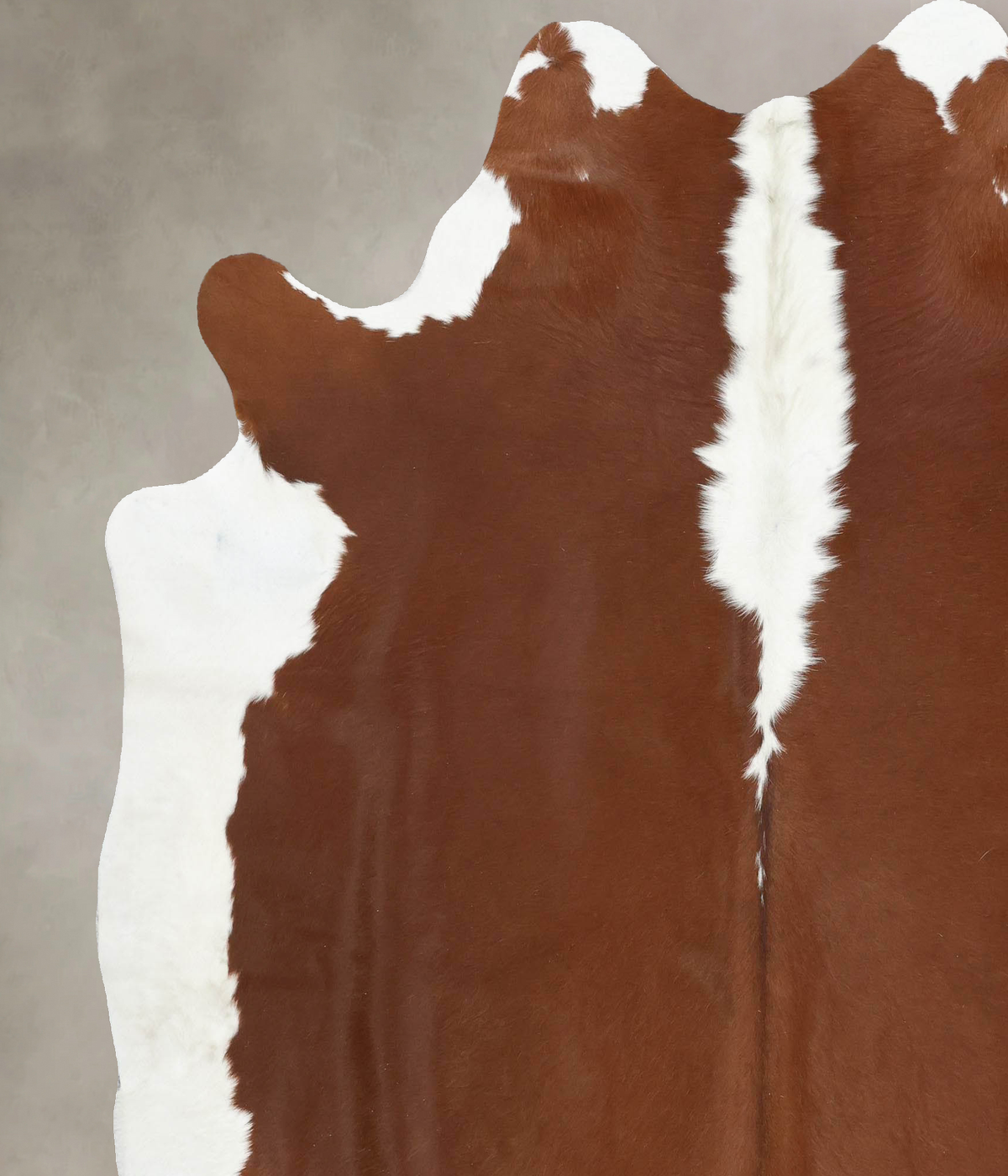 Hereford XX-Large Brazilian Cowhide Rug 7'6"H x 6'9"W #B14110 by Hudson Hides