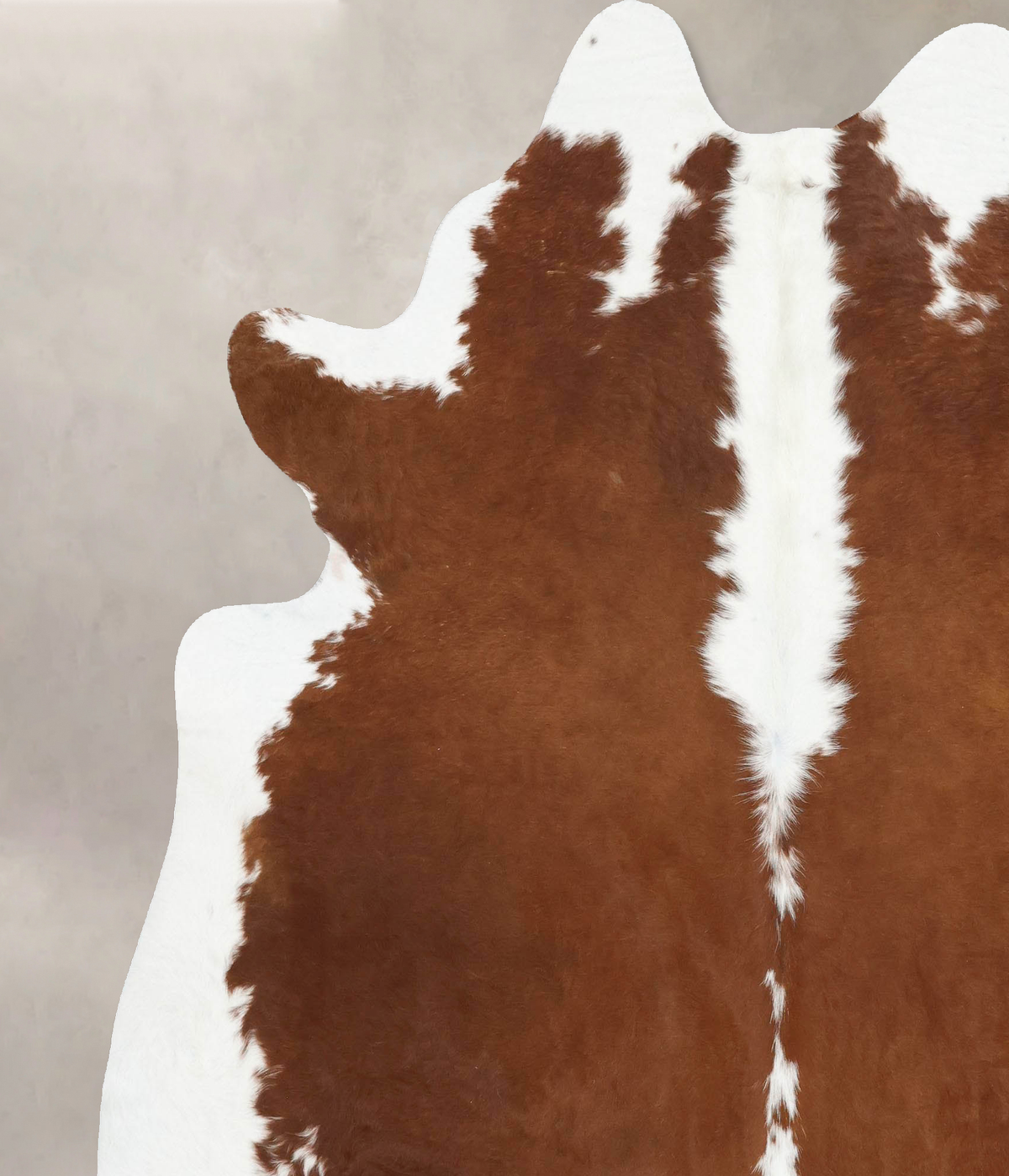 Hereford XX-Large Brazilian Cowhide Rug 7'10"H x 6'8"W #B14117 by Hudson Hides