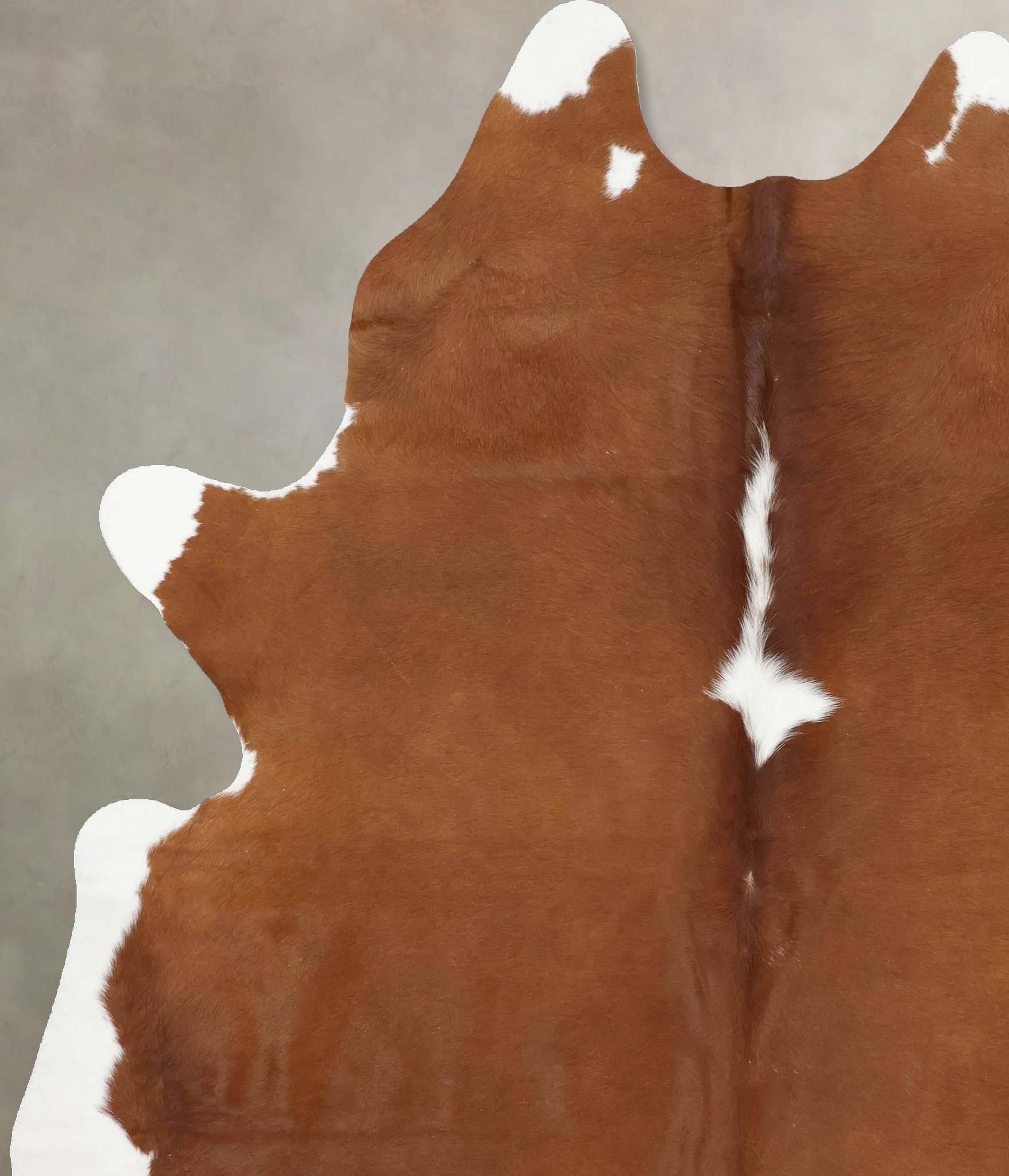 Brown and White Regular Cowhide Rug #B14118