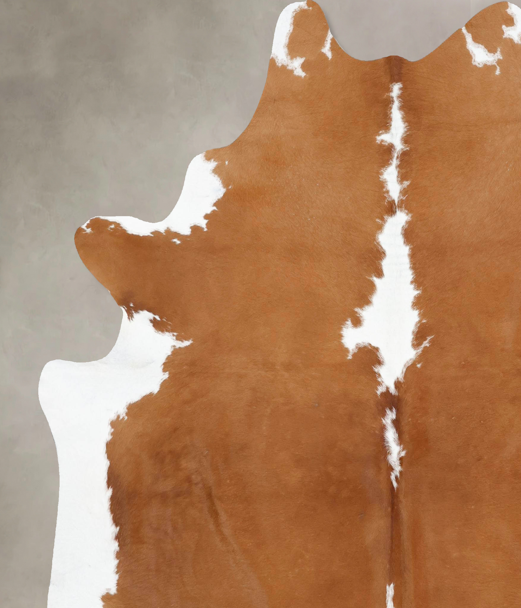 Brown and White Regular Cowhide Rug #B14132