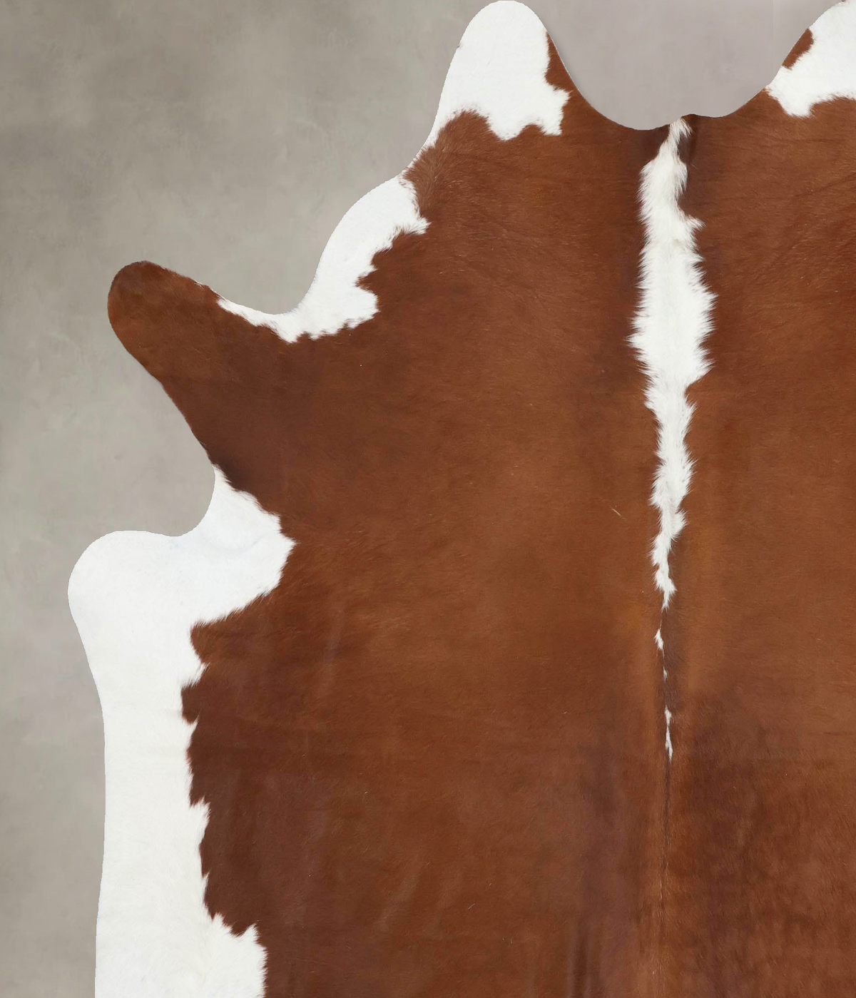 Hereford XX-Large Brazilian Cowhide Rug 8'2"H x 6'10"W #B14137 by Hudson Hides