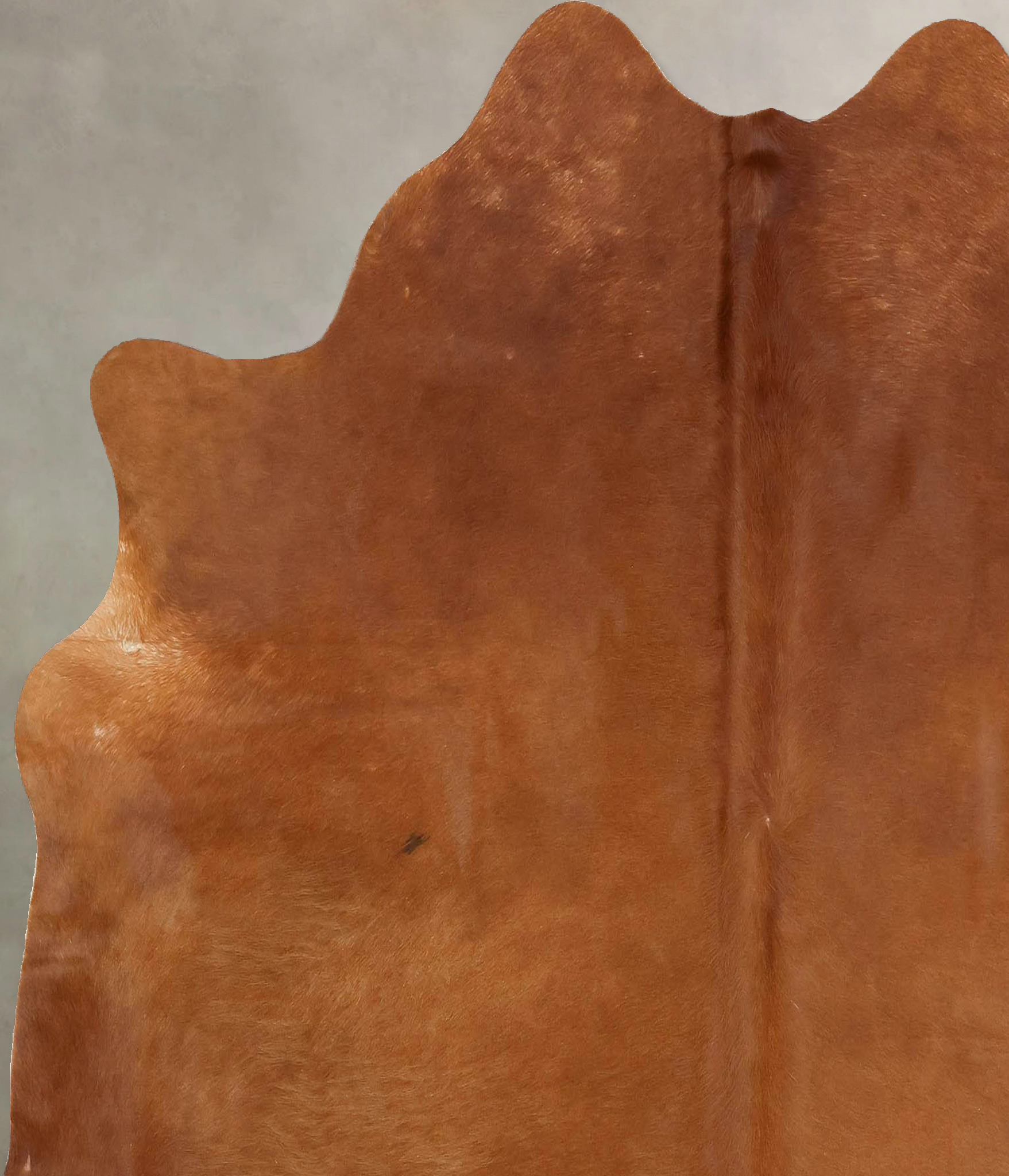 Solid Brown Cowhide Rug #B14143