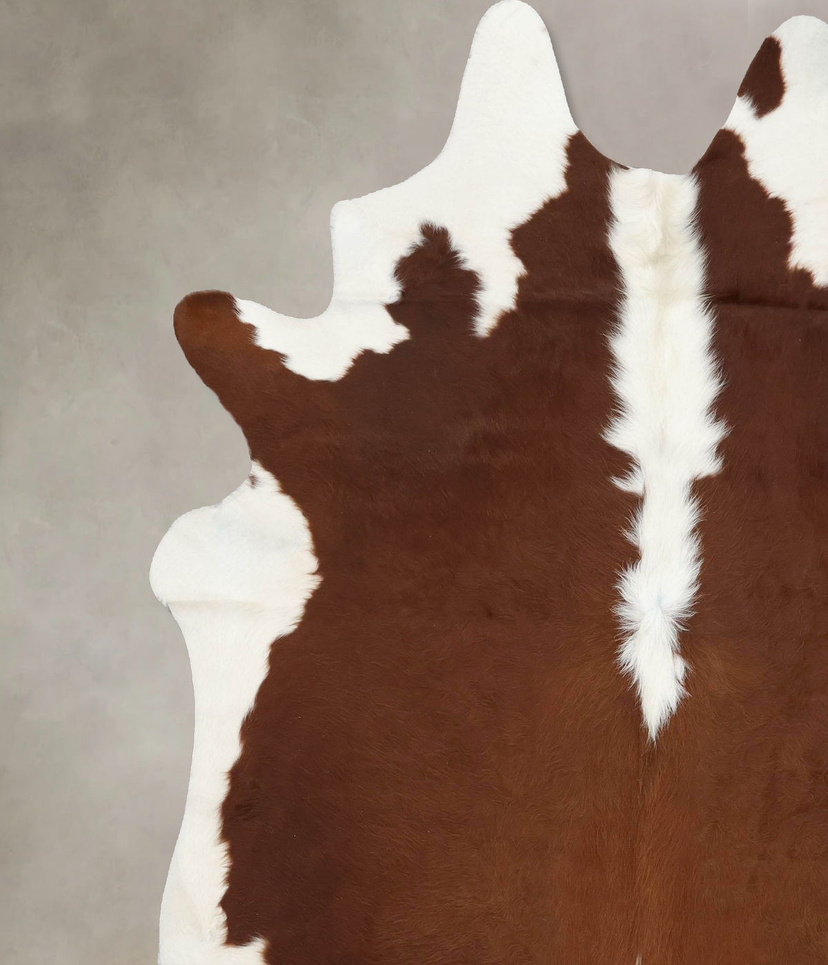 Hereford XX-Large Brazilian Cowhide Rug 8'4"H x 7'1"W #B14145 by Hudson Hides